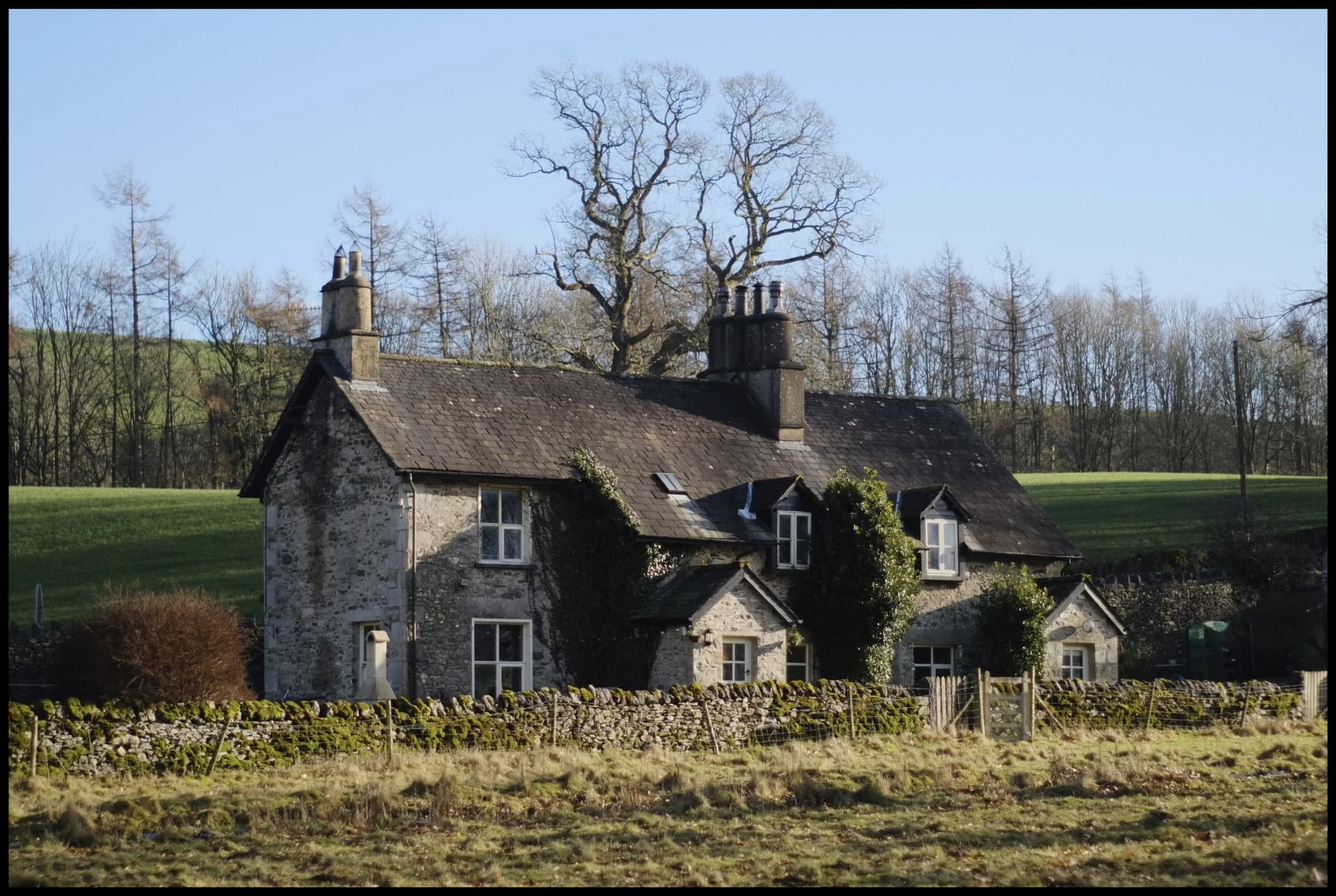  This cottage on returning to the Deer Park caught my eye. Beautifully idyllic, and the light was the cherry on top. 