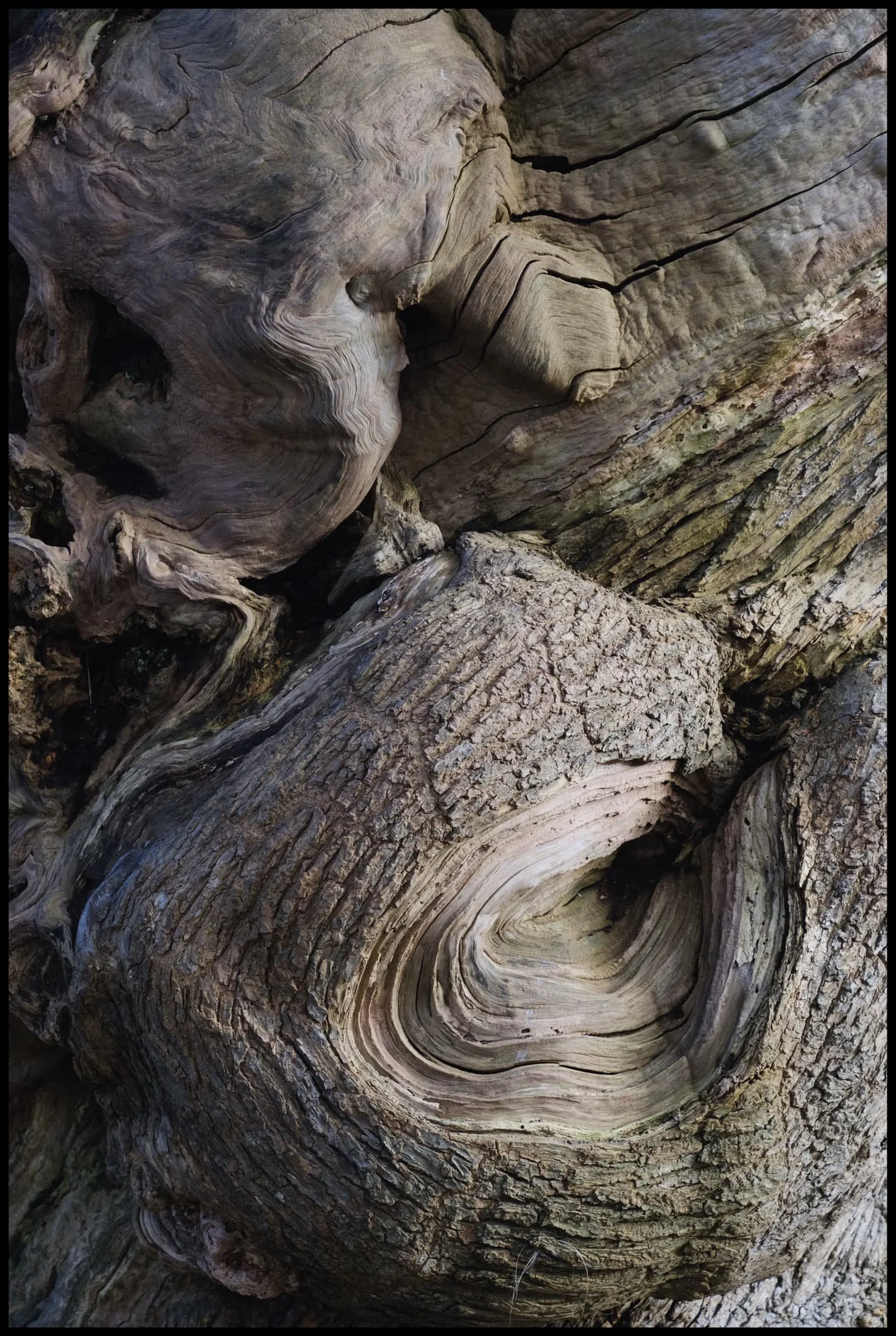  I love the combination of textures here, from whirling and smooth to stubbly and geometric. 