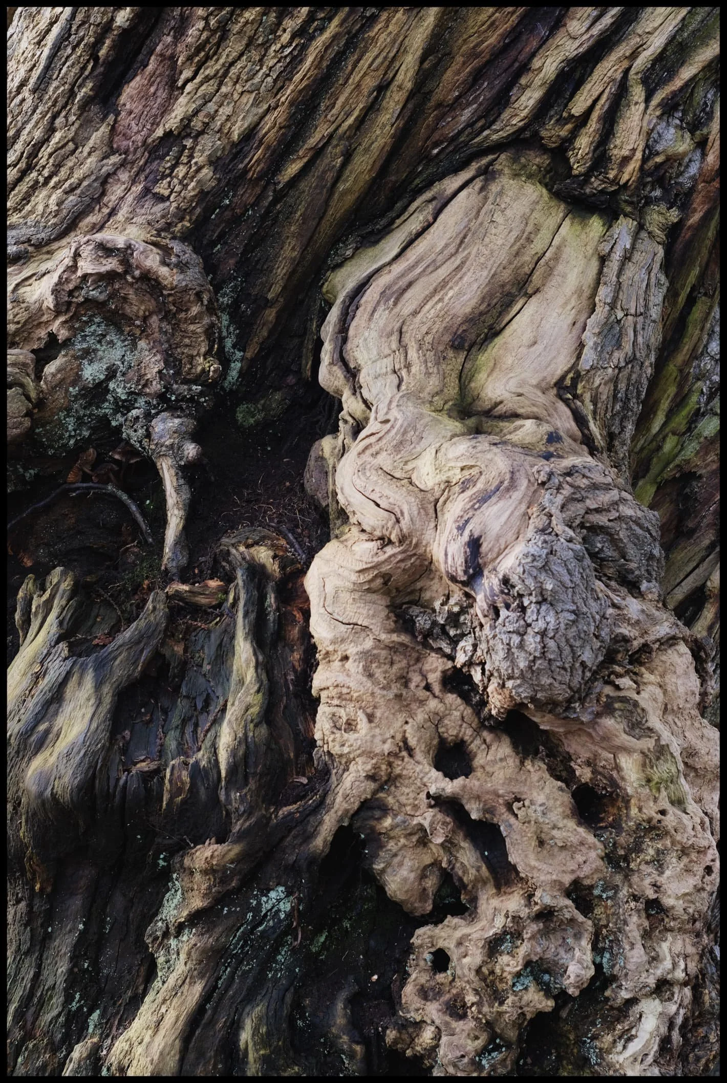  Sometimes you just have to shoot chaos, and let someone else&rsquo;s brain find something they can point to. 