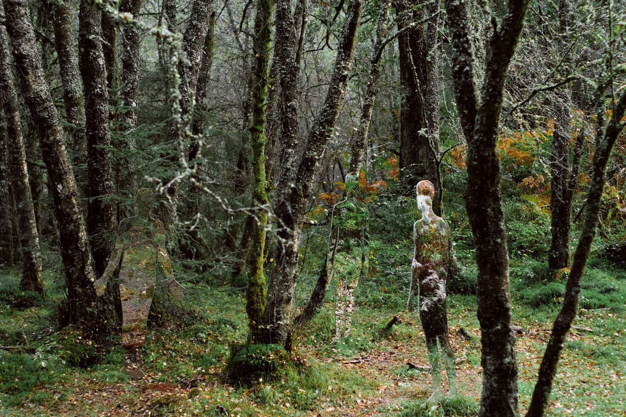 What a cool idea for a “sculpture”.