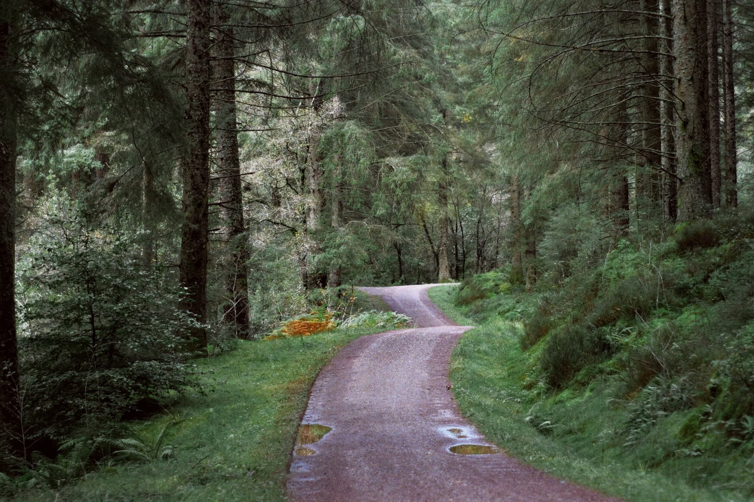 We would’ve made faster time, but there were so many good mushrooms and fungi to see!