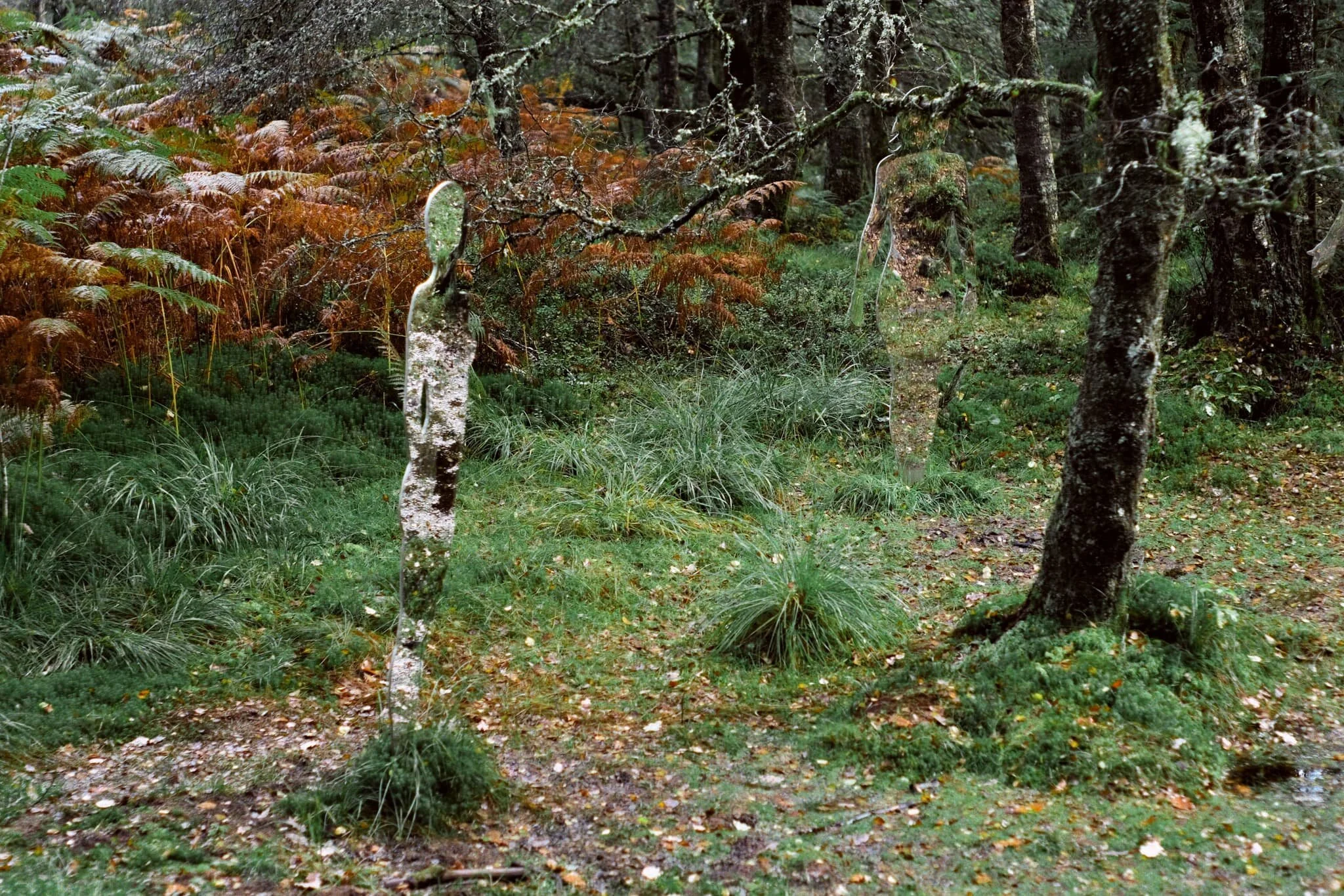 Not far into the Waterfall Trail, you come across a depressed marshy area dotted with these mirrored standing figures. Creepy? Weird? Artistic? Whatever you like. I think they’re cool.