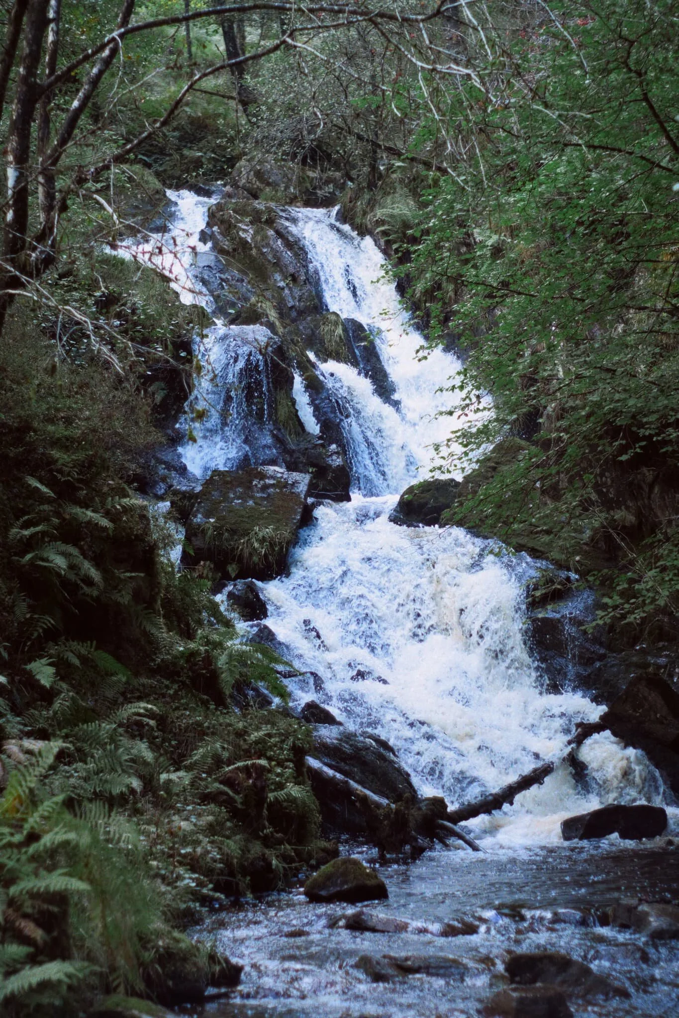 This one wasn’t named on the OS map, but I’m guessing it would be something like Upper Little Fawn Falls since it’s the same river.