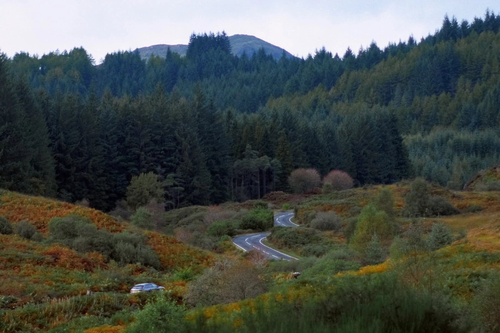 We eventually popped out of the forest, finding ourselves near the Duke’s Pass road. Gorgeous autumn colours everywhere.