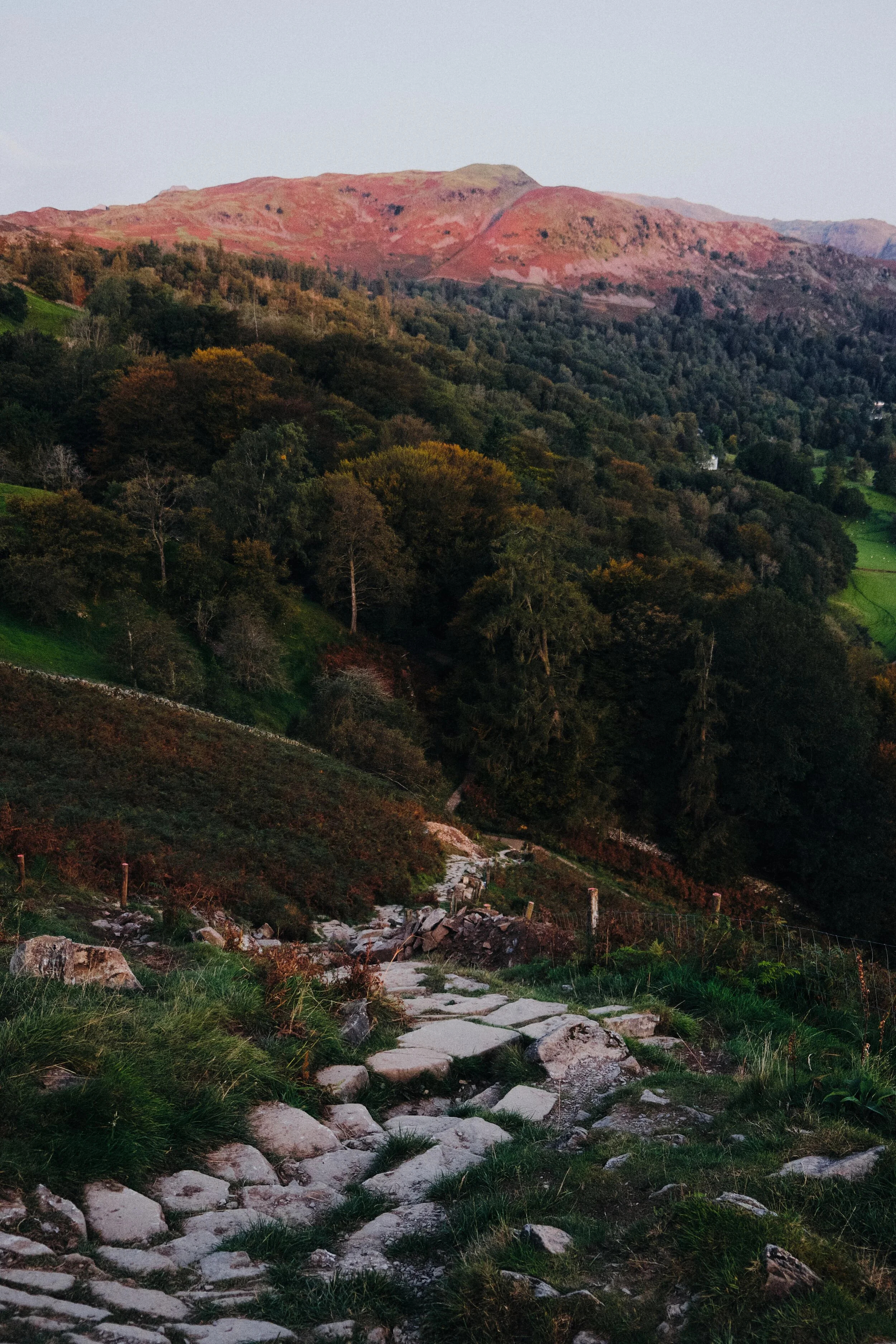  Looking back down the steep pitched path that was our route up to the summit of Loughrigg. Silver How (395 m/1,296 ft) starts catching the soft pre-sunrise light. 