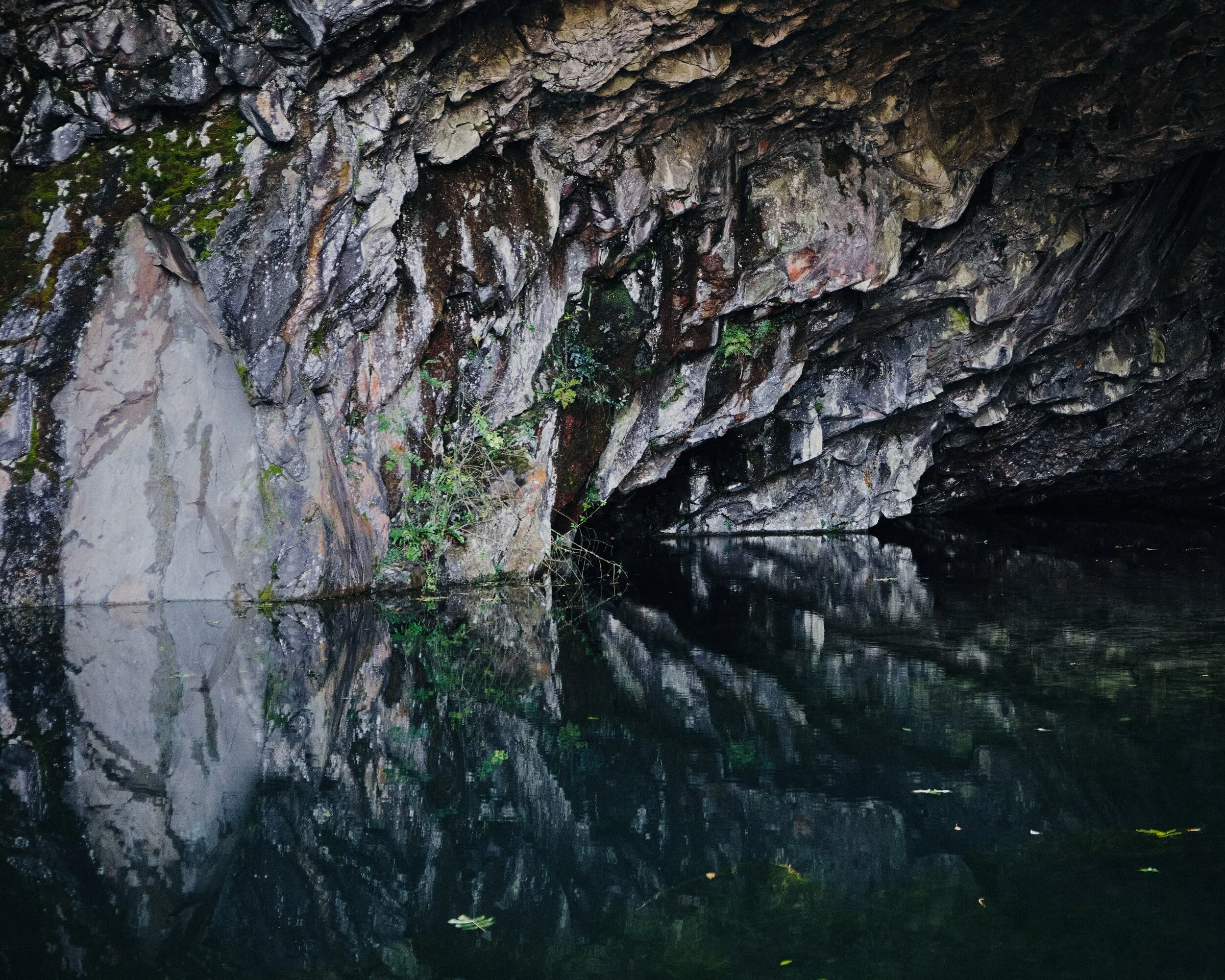  We spotted teeny little fishes in the pool too! Couldn&rsquo;t say what they were, though. 