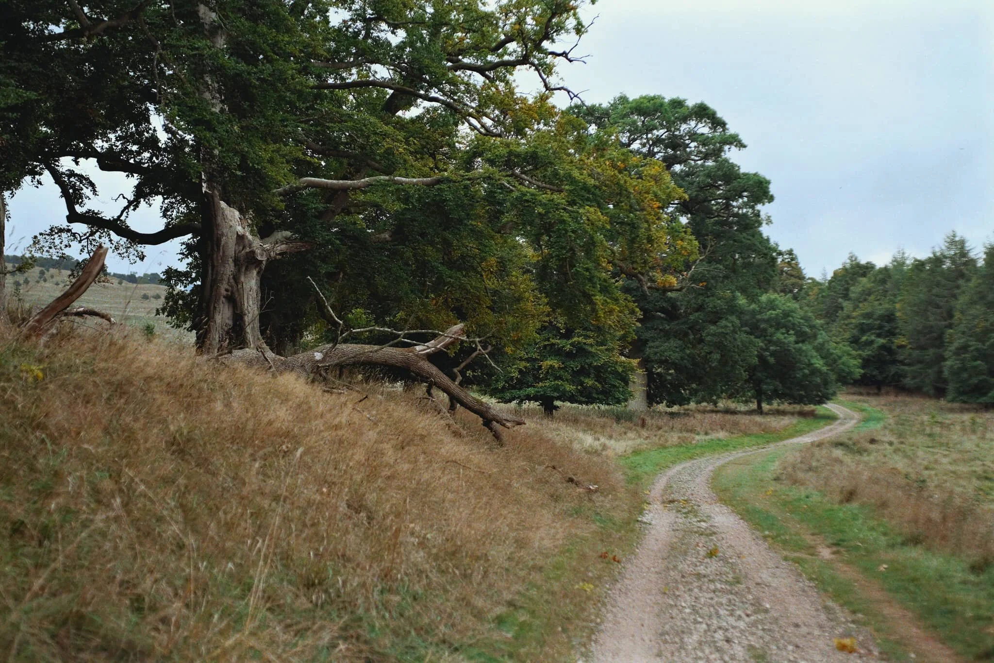 The path pops out of the woodland beneath Lowther Castle, and follows alongside the River Lowther. The cloud cover finally starts to break up.