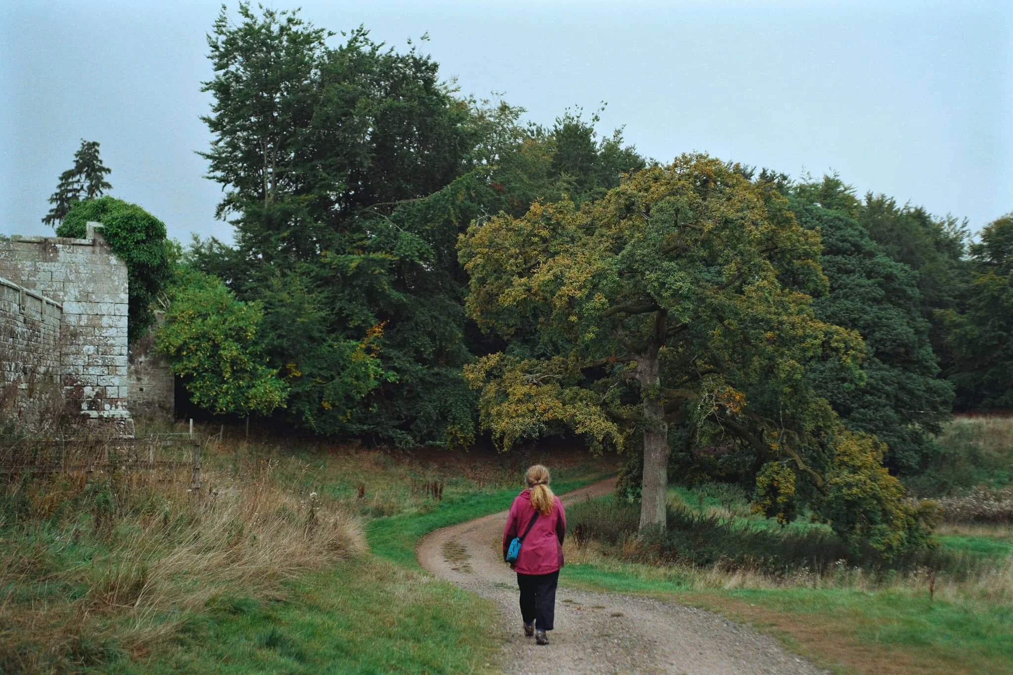 Down into the woods we go. Autumn colours are really starting to pop in Cumbria.