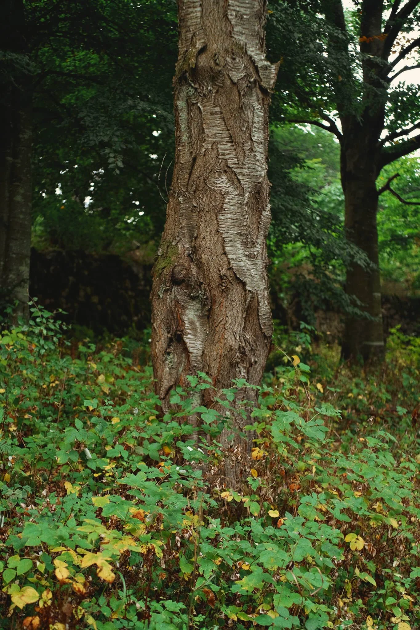 Look at them beautiful colours.