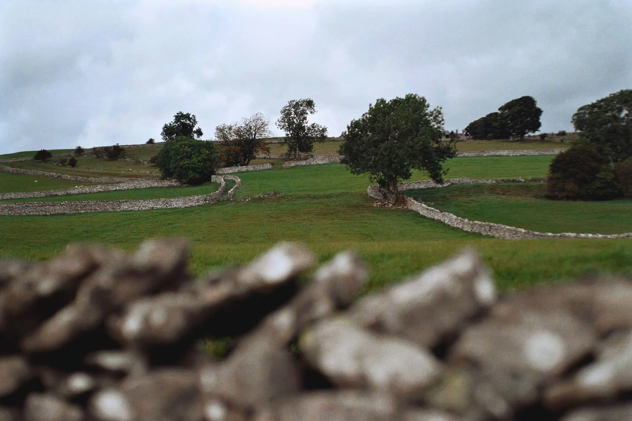 Our goal: Askham Fell, with its fellside traced with dry stone walls.