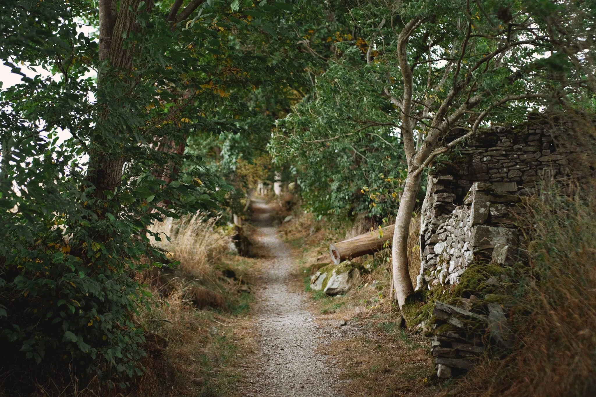 One of my favourite parts of this hike is when you come off the road to Whale and up the “lonnin” (lane) alongside Millkeld Sike towards Helton.