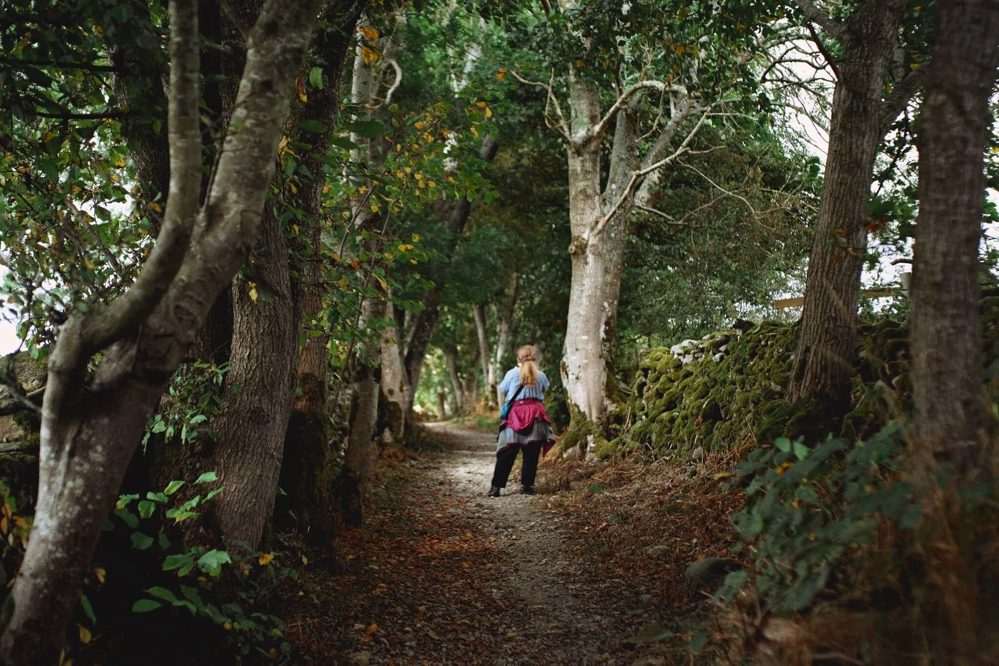 My lovely Lisabet, capturing the beautiful that was developing through the lane.