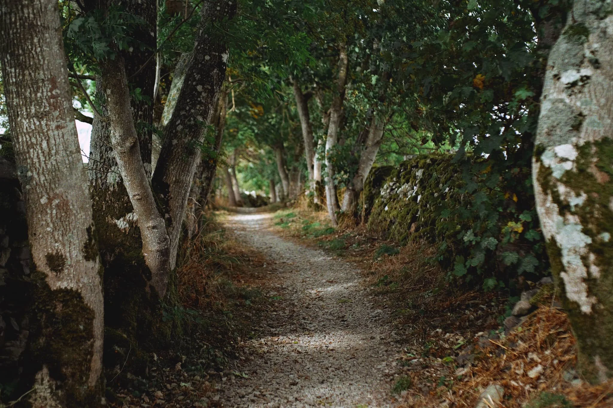 Our way to Helton…