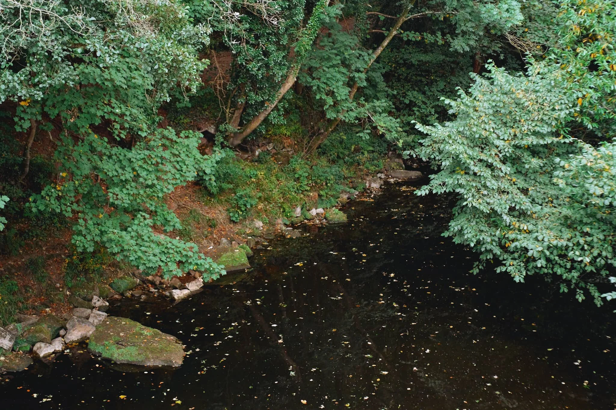A very low and dry River Lowther, shot as we crossed Askham Bridge to head back up the woods to Lowther Castle.