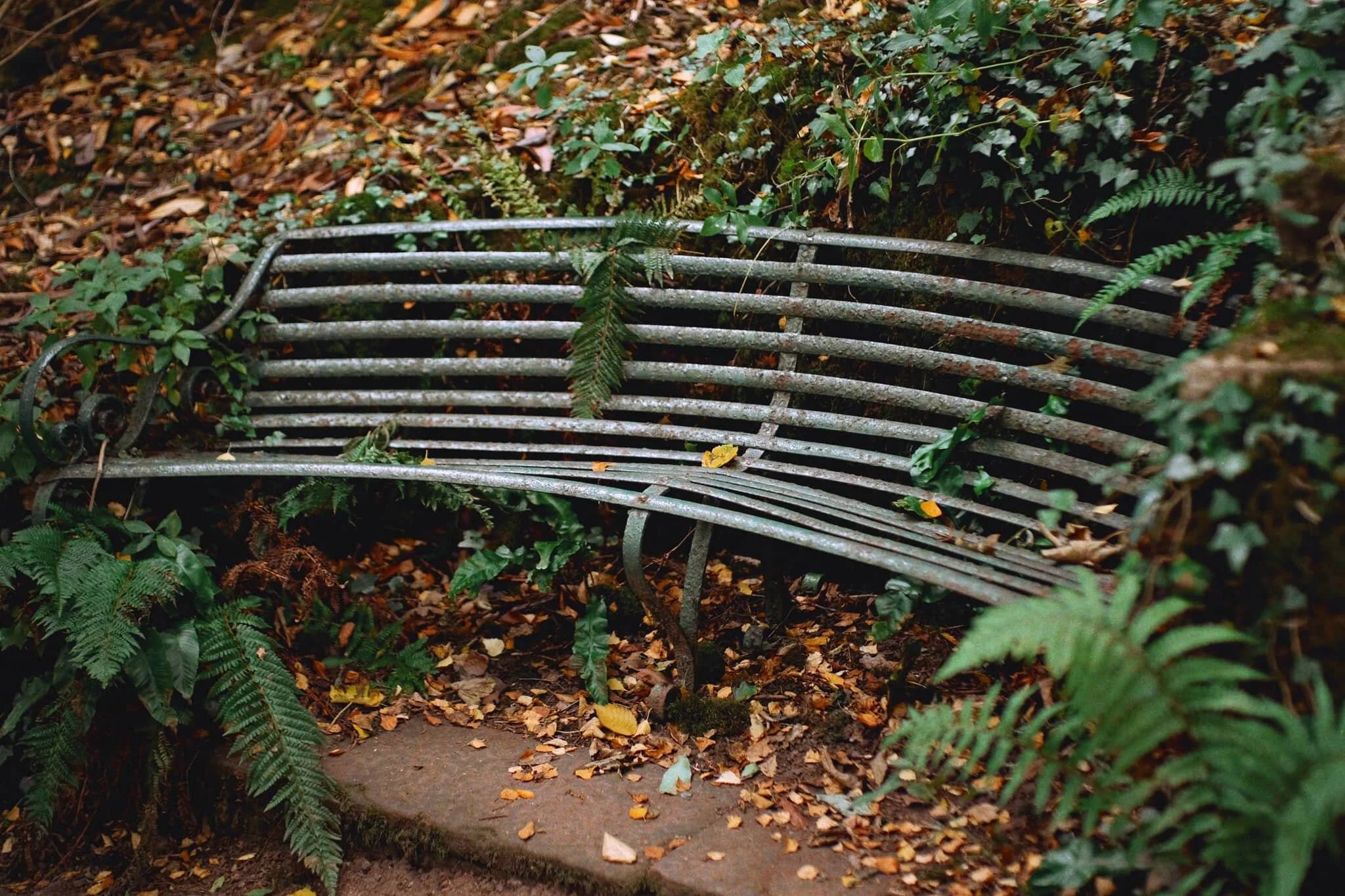 Just a nice scene and soft light as we hiked up the steep route through Lowther Castle woods.