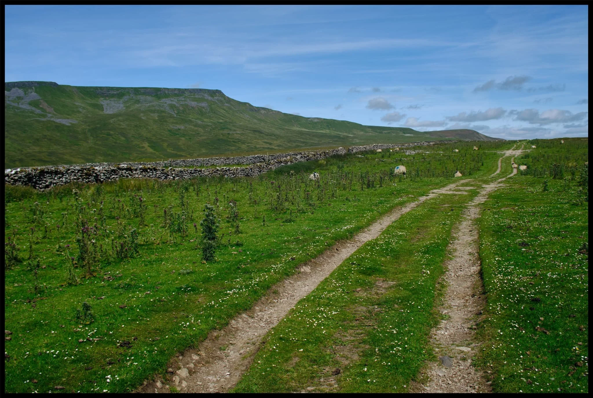  Up on the Pennine Bridleway! This is a section of the bridleway known as A Pennine Journey, once walked and described by famed walker Alfred Wainwright. 