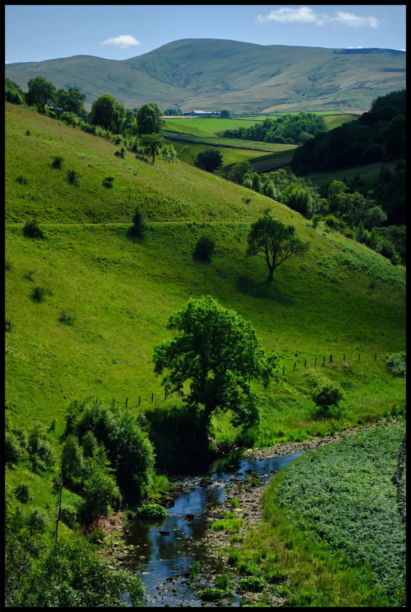  Flies followed and pestered us all the way. Nevertheless, Dad managed to spot and nab a superb photo of a toad, and we finally reached the viaduct, granting us views such as this. 
