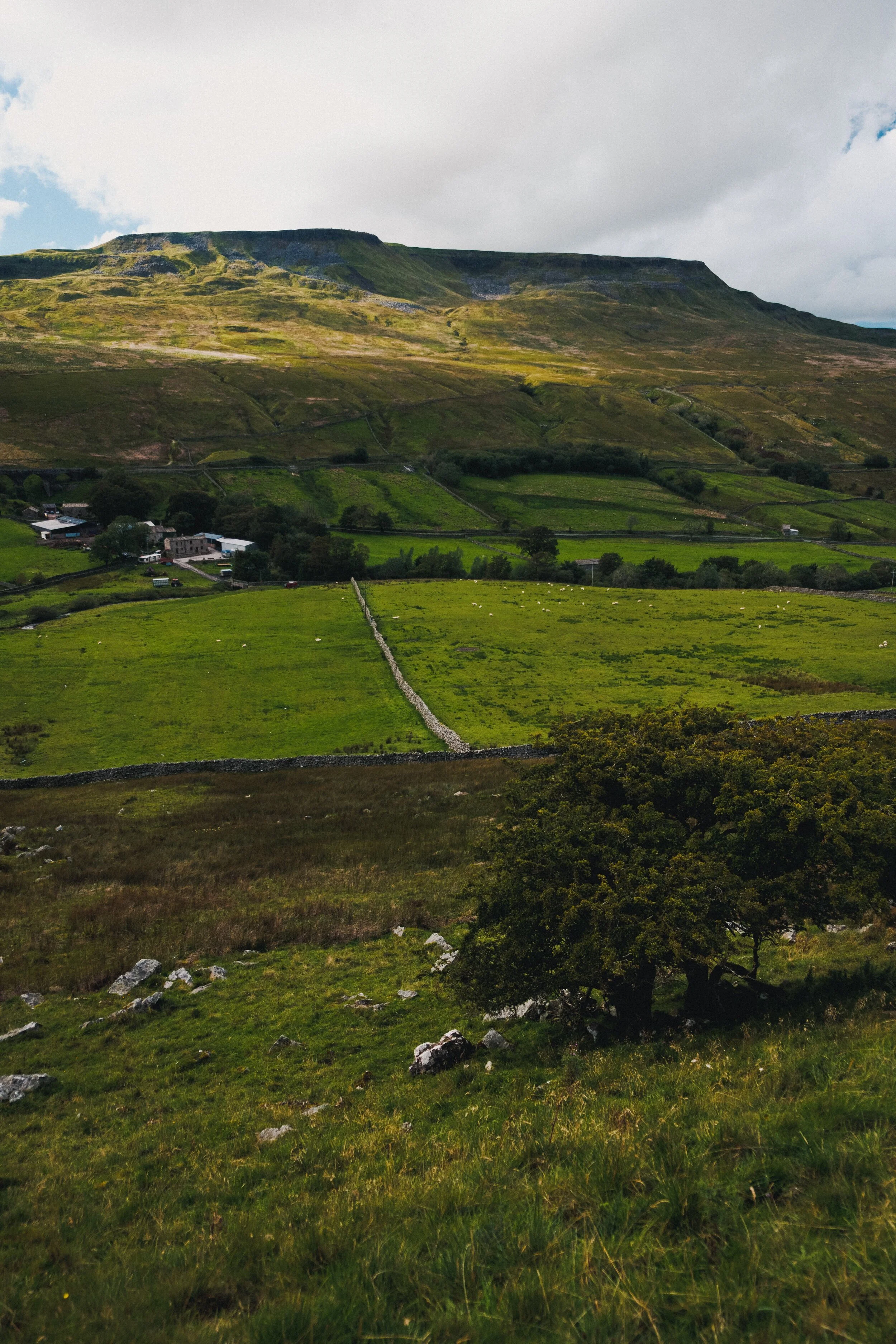  We took a route through Mallerstang that I&rsquo;d personally never done before, from Hell Gill Force and up onto Slade Edge, which is a small limestone plateau that rises above the middle of the valley. 