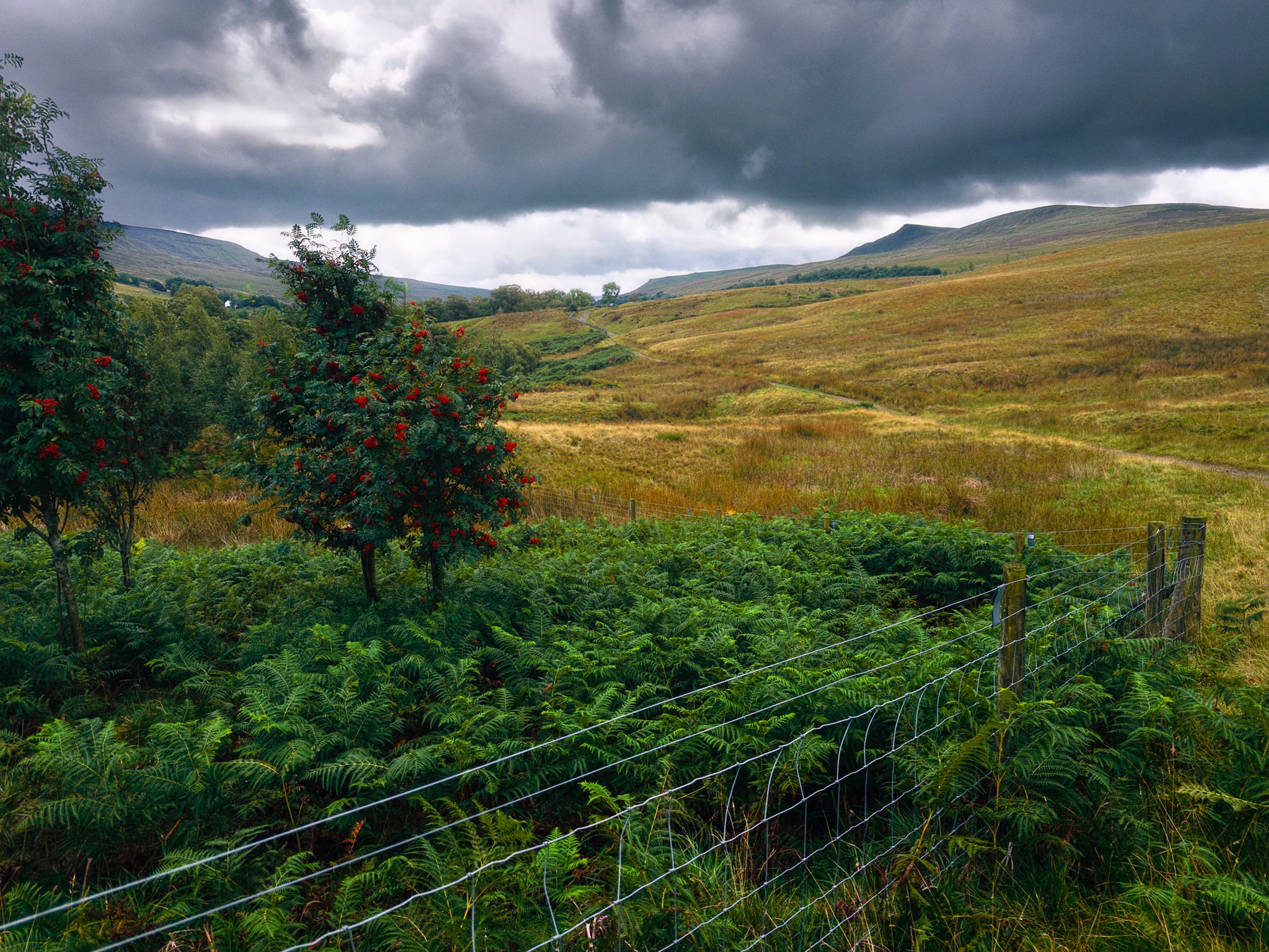 Looking back at where we came from, Wild Boar Fell just peeking above the moorland.