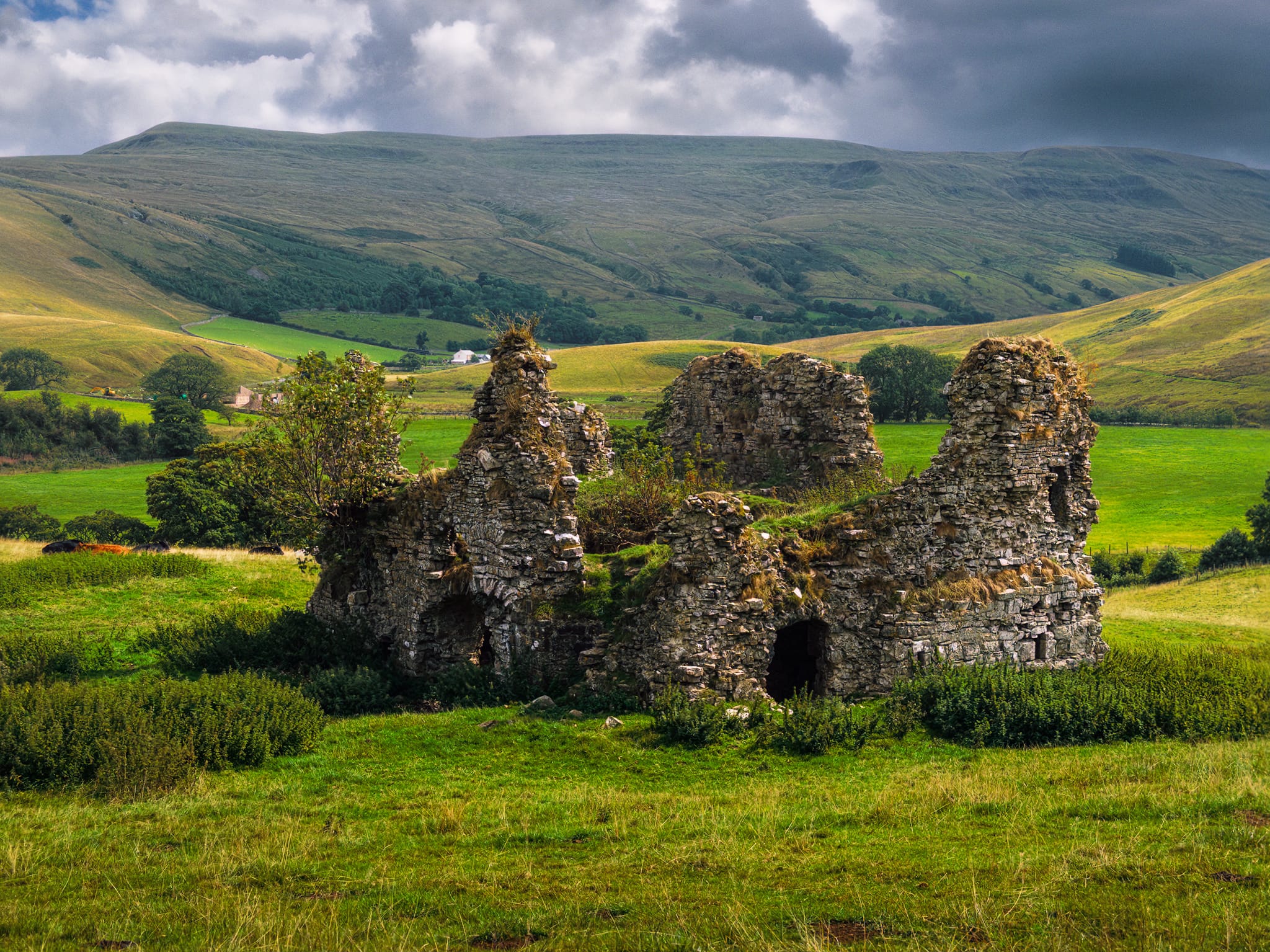 Carefully avoiding the bullocks resting near the ruins, we clambered up the hillside above Lammerside Castle for a break and some food, additionally shooting compositions as the light changed played with the scene.