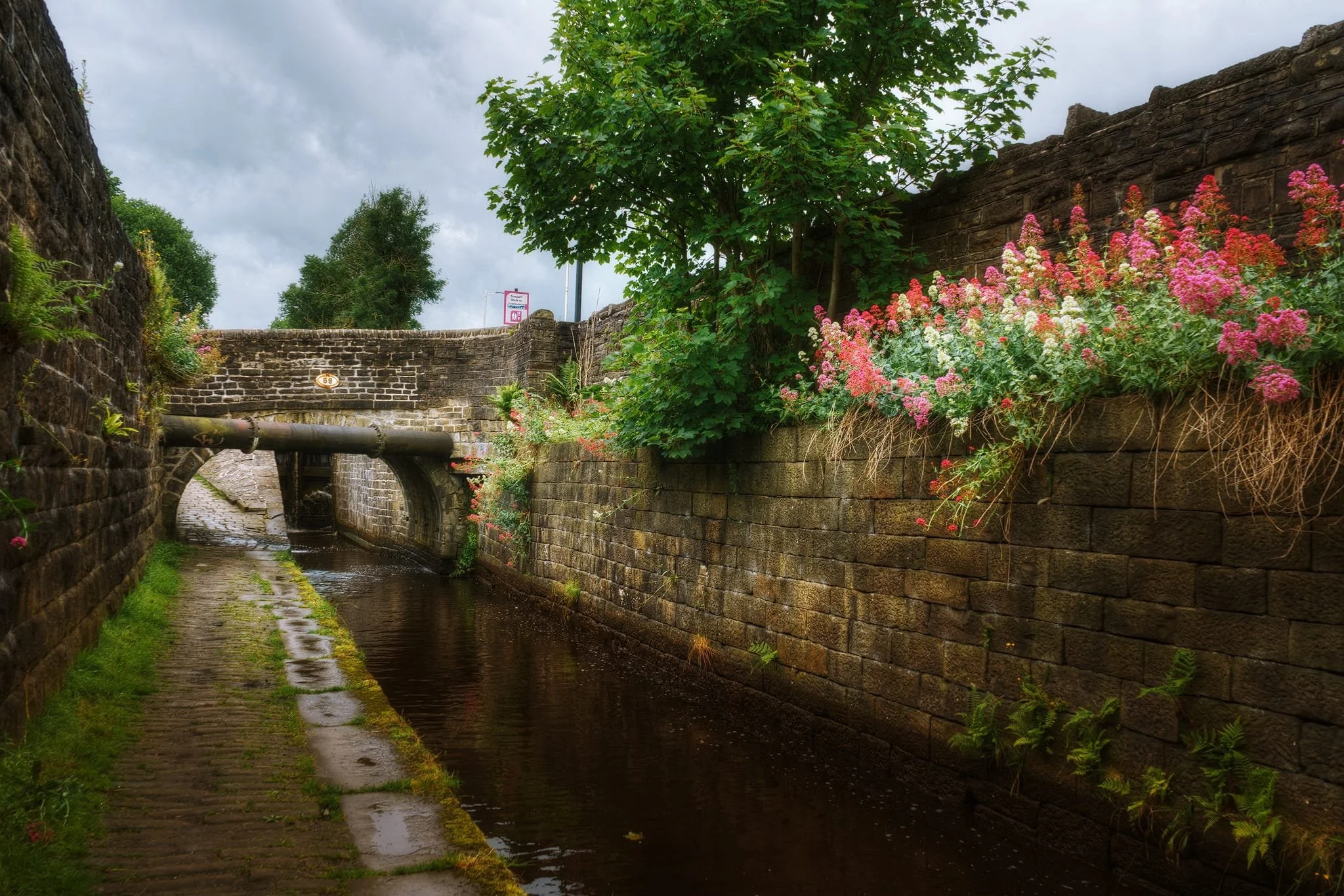 Marsden_Small 03_Compressed