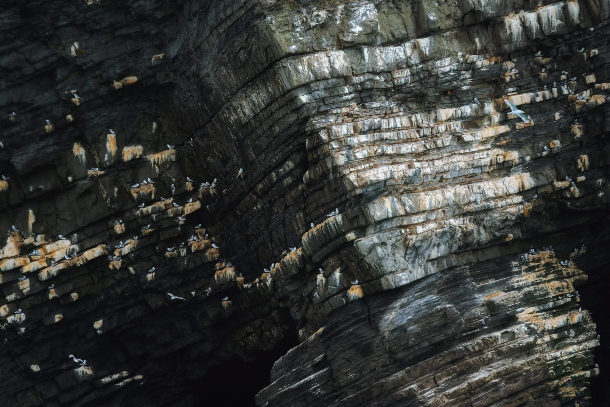 Rounding the corner of New Quay Head, the aptly named