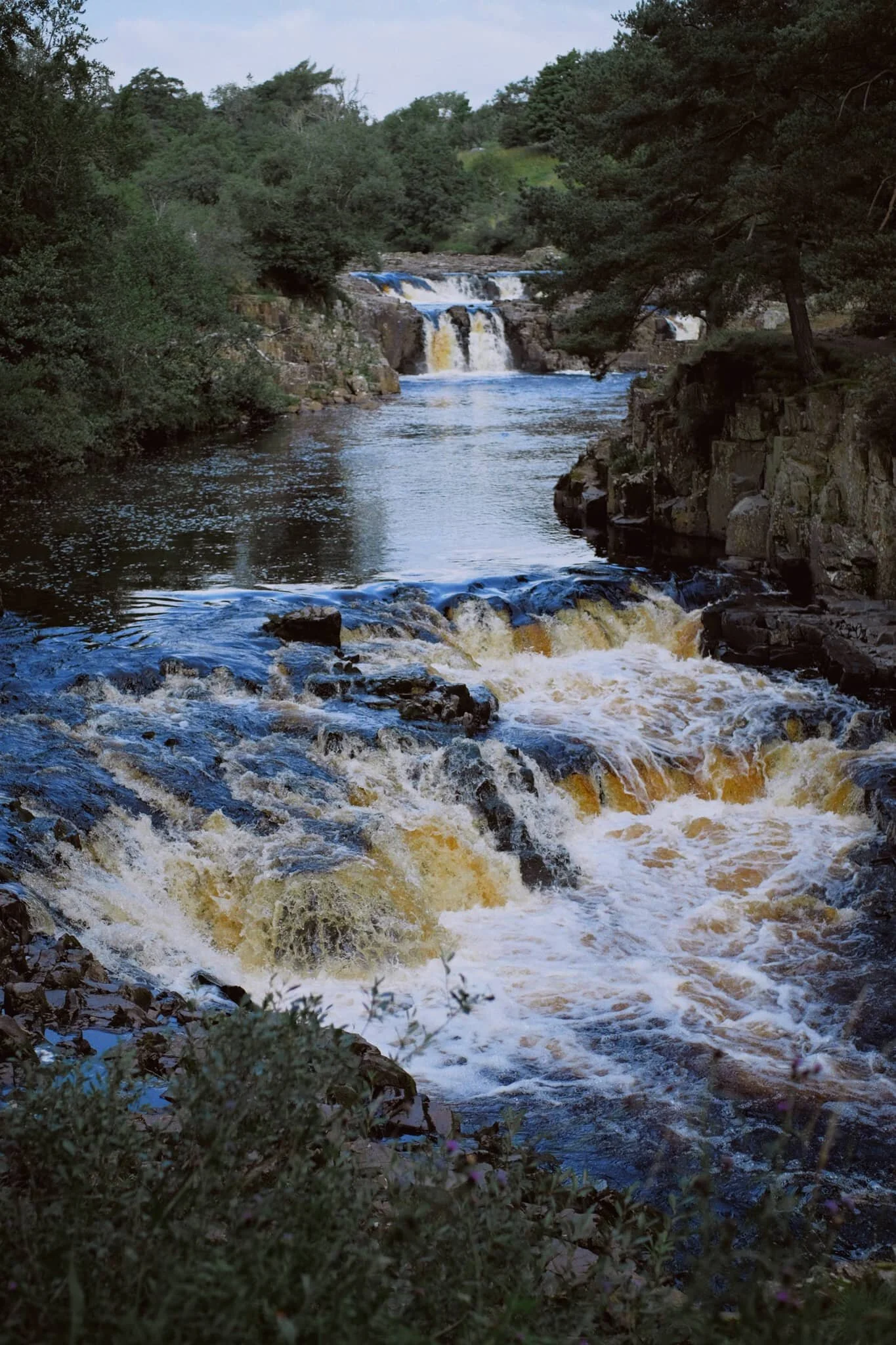 The lower aspect of Low Force shot from the southern banks of the Tees after we crossed the bridge.