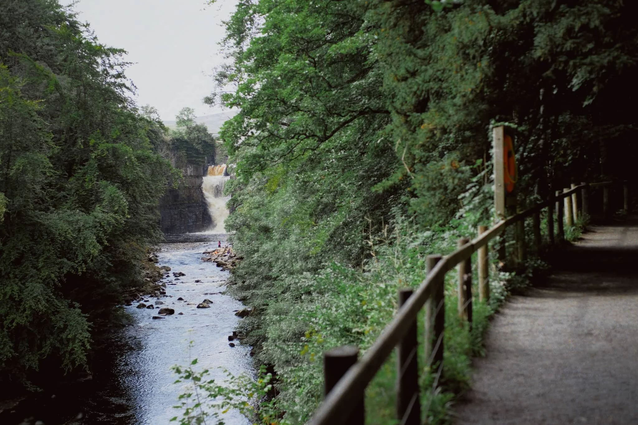The first glimpse of High Force and the gorge it’s created. The excitement builds…