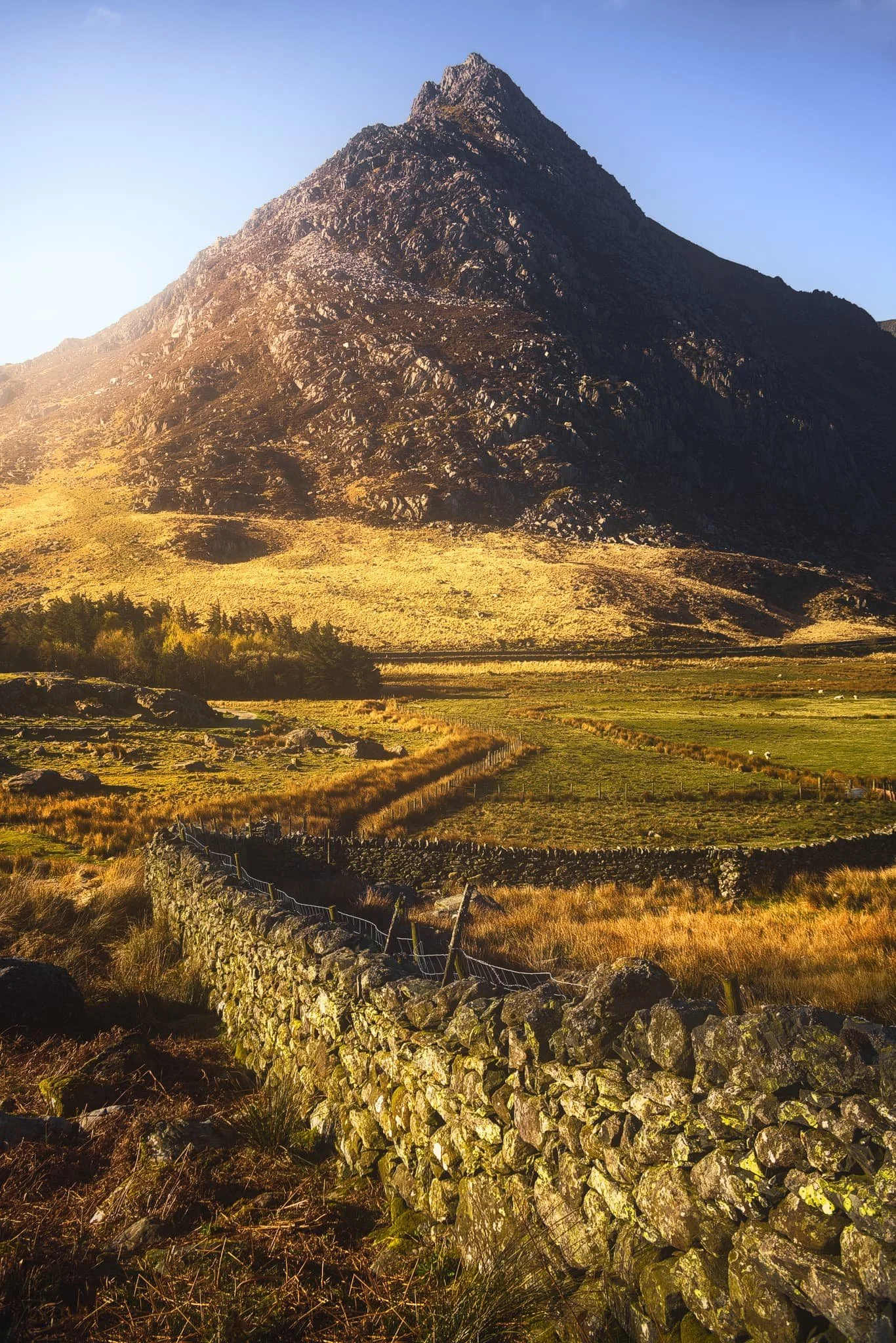  Heading back down to the valley floor, a dry stone wall gives me another lovely composition involving Tryfan. 
