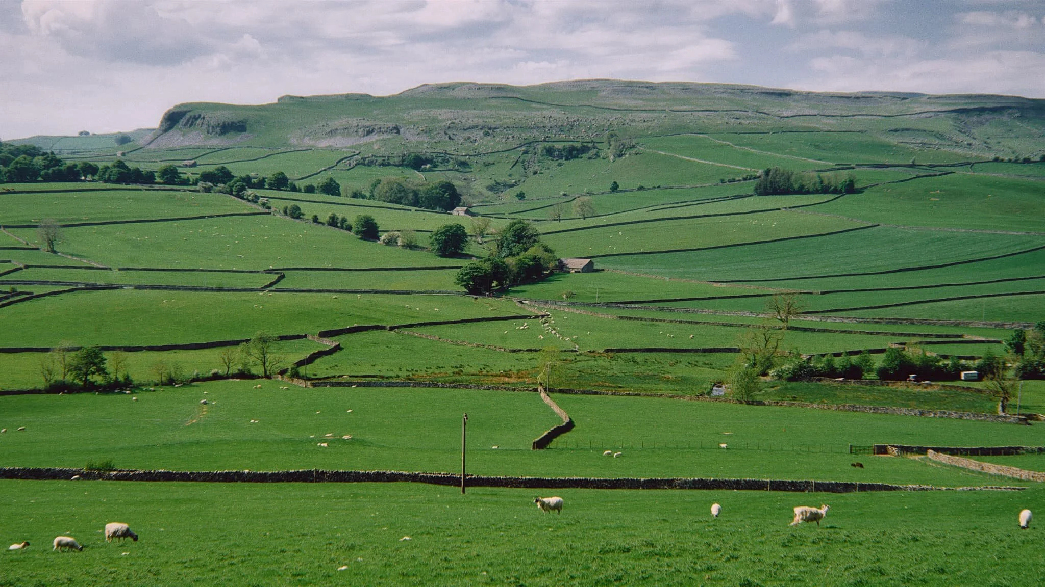 We followed Wood Lane as the trail started to ascend. Looking back across the segmented fields towards Robin Proctor’s Scar and the Norber Erratics.