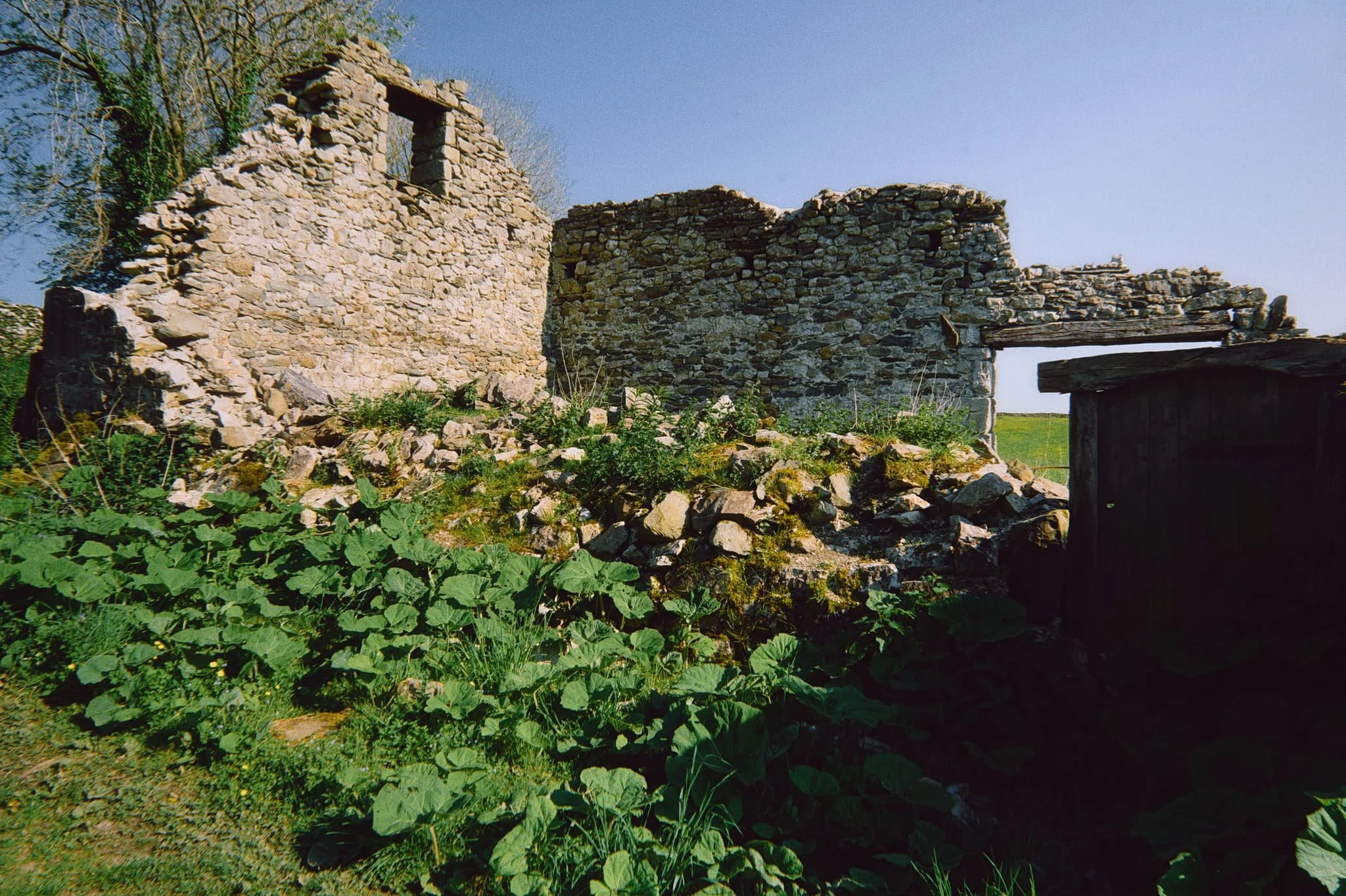 The collapsed ruins of Meldings Barn, with a doorway still standing on its own.