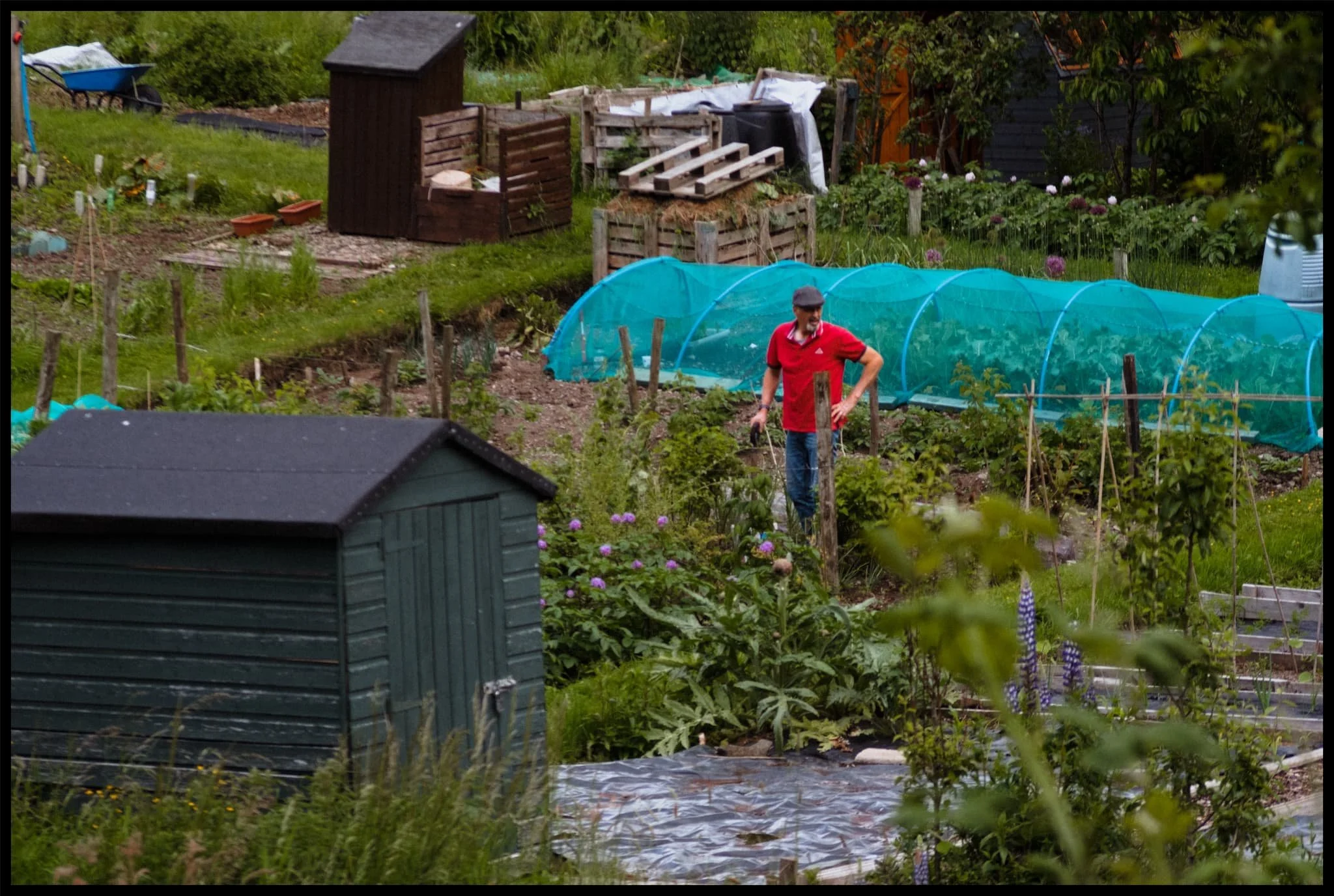  With all the intermittent periods of rain + sun + rain + sun, I imagine this fella&rsquo;s got his work cut out on his allotment. 