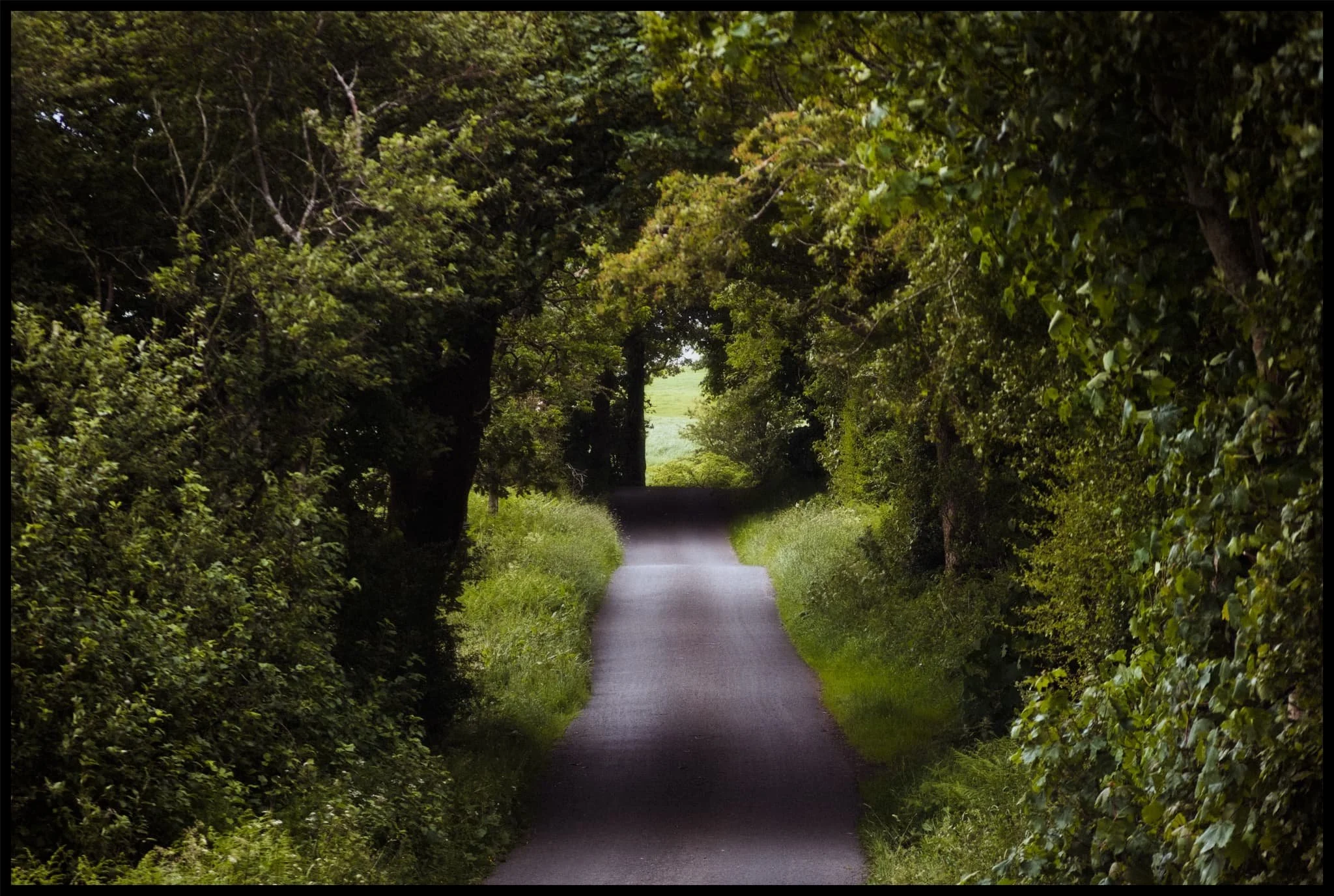  As the rain got heavier I took shelter underneath a thick pair of trees and decided to wait things out. Whilst I did, I snagged this composition of the road onwards. 