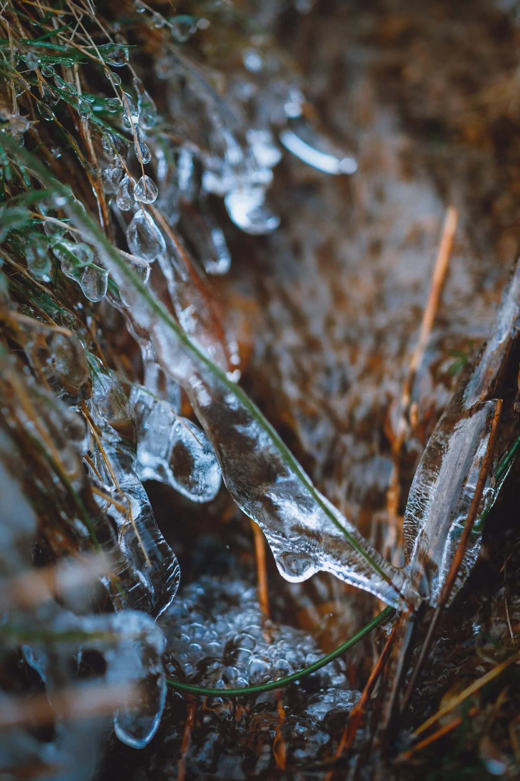  We saw lots of delightful icicle formations by the side of the miner&rsquo;s track. Miniature worlds of their own. 