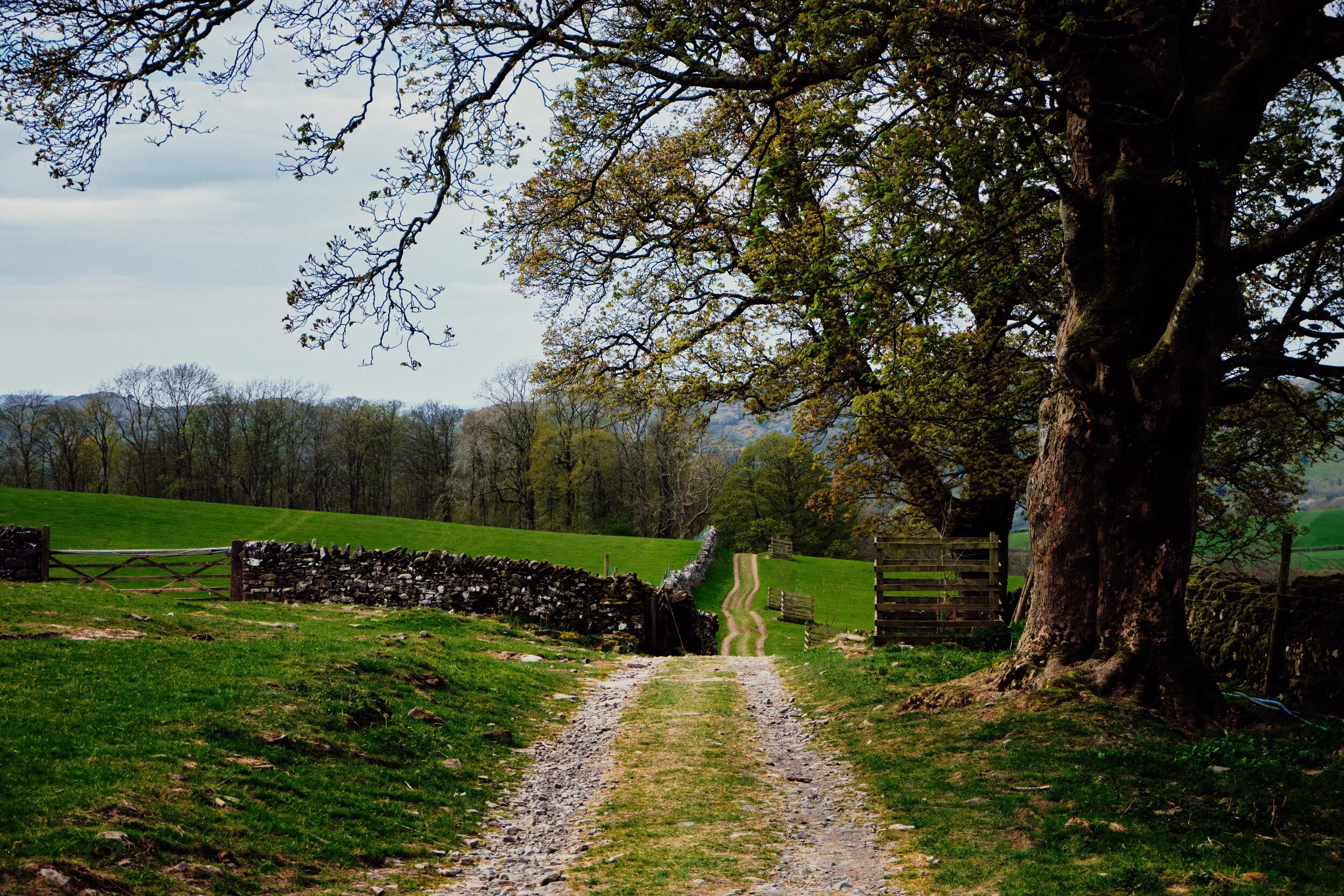 Gamblesmire Lane, an ancient lane running west to east that connects the village of Underbarrow in the Lyth Valley to Kendal.