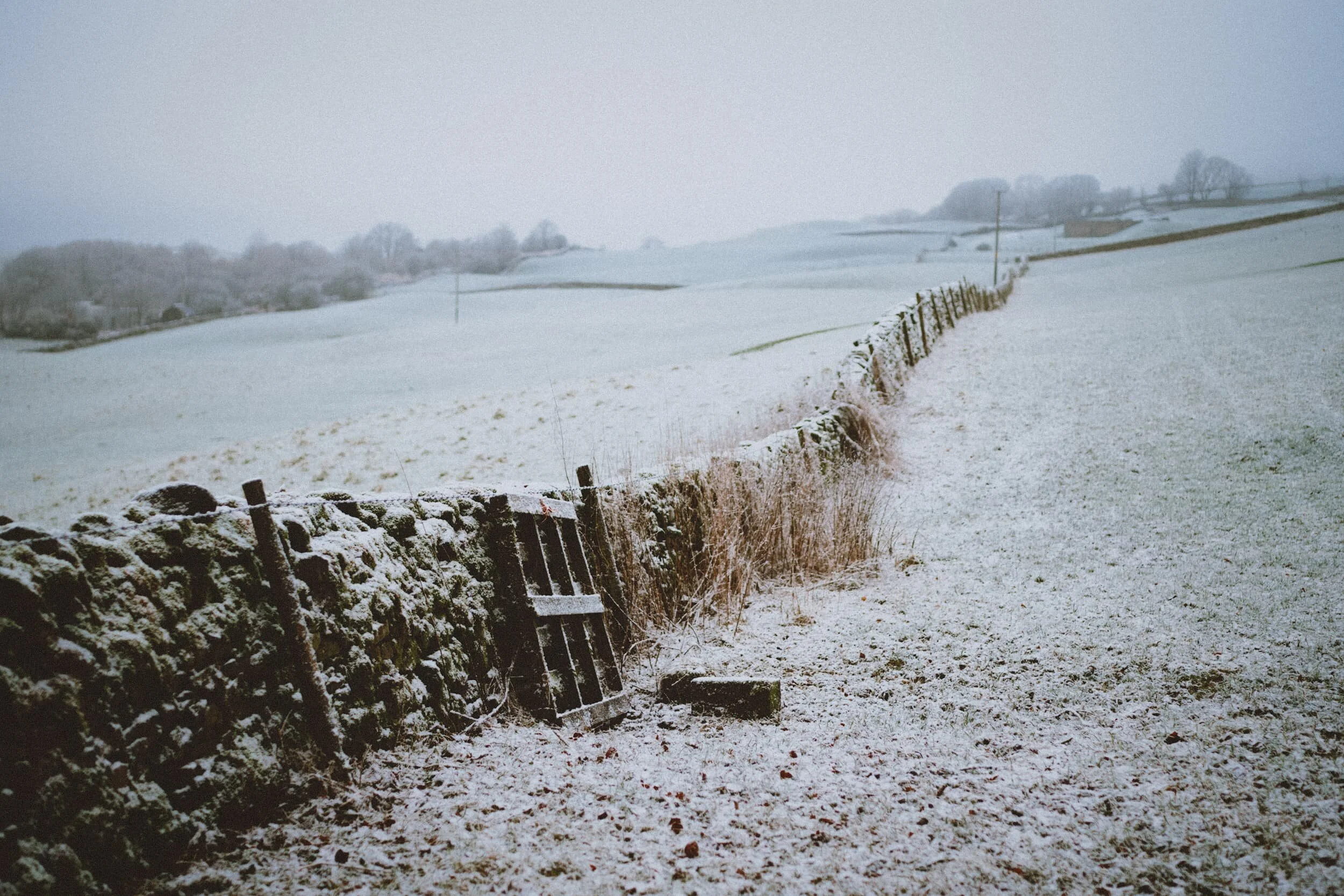  The higher we climbed, the more the views disappeared into the winter fog. 