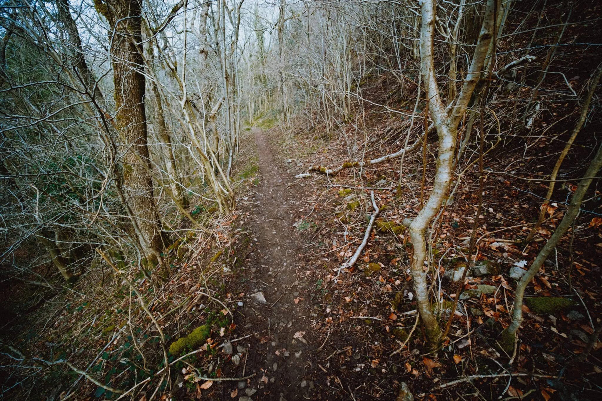  Looking back the way we came. Can&rsquo;t wait for this to start looking a lot greener. After reaching the top of Cunswick Scar, we were not prepared for what we saw across the Lyth Valley… 