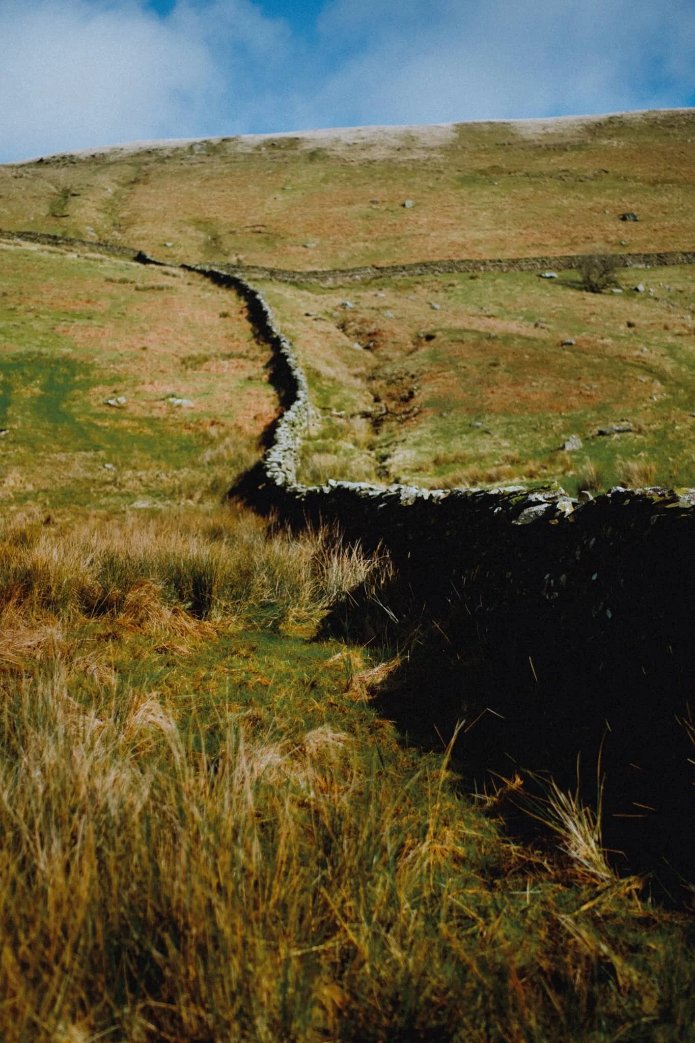 That&rsquo;s right. A curving drystone wall. I can&rsquo;t resist. 