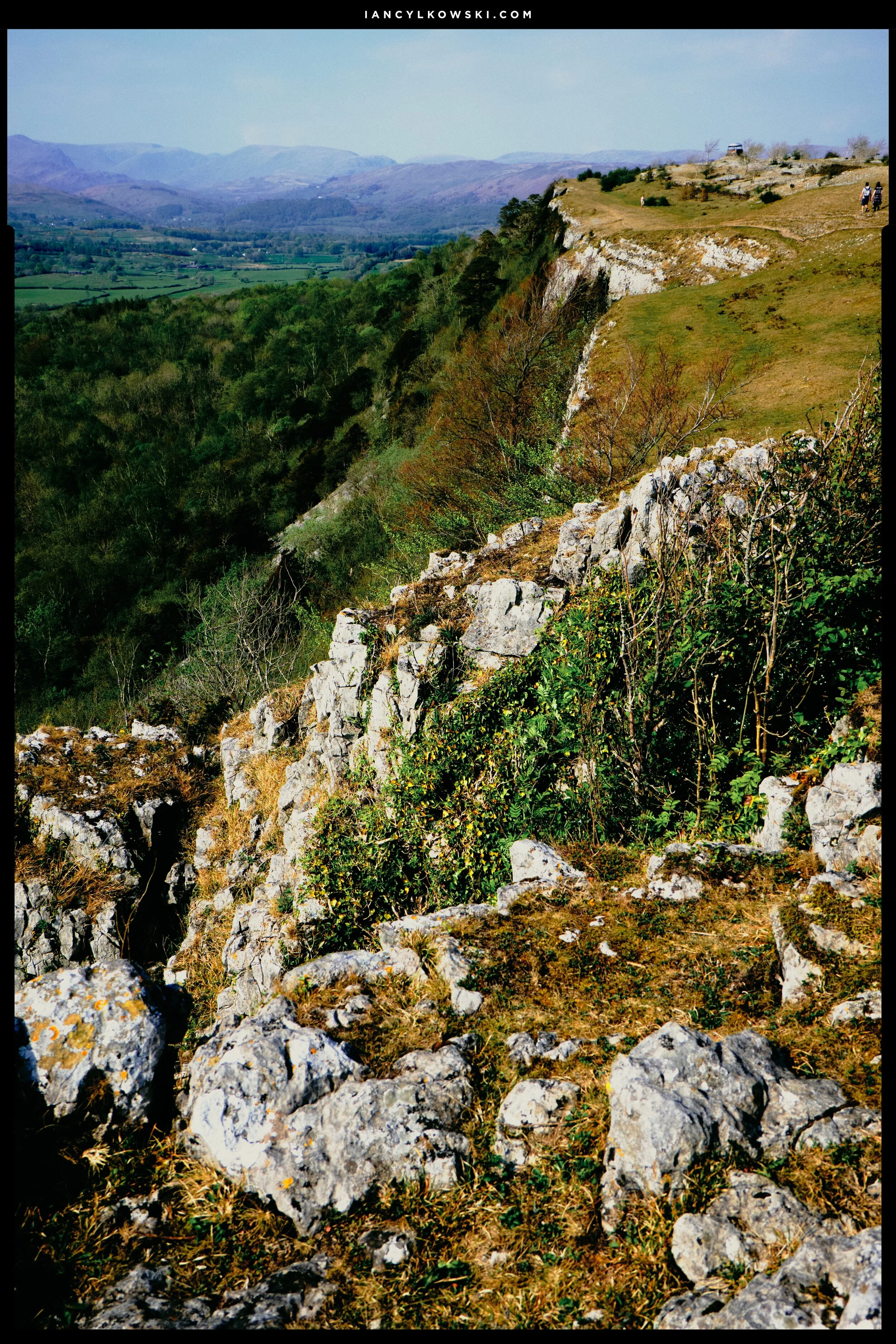 Life finds a way, even in the broken crags of a limestone cliff.