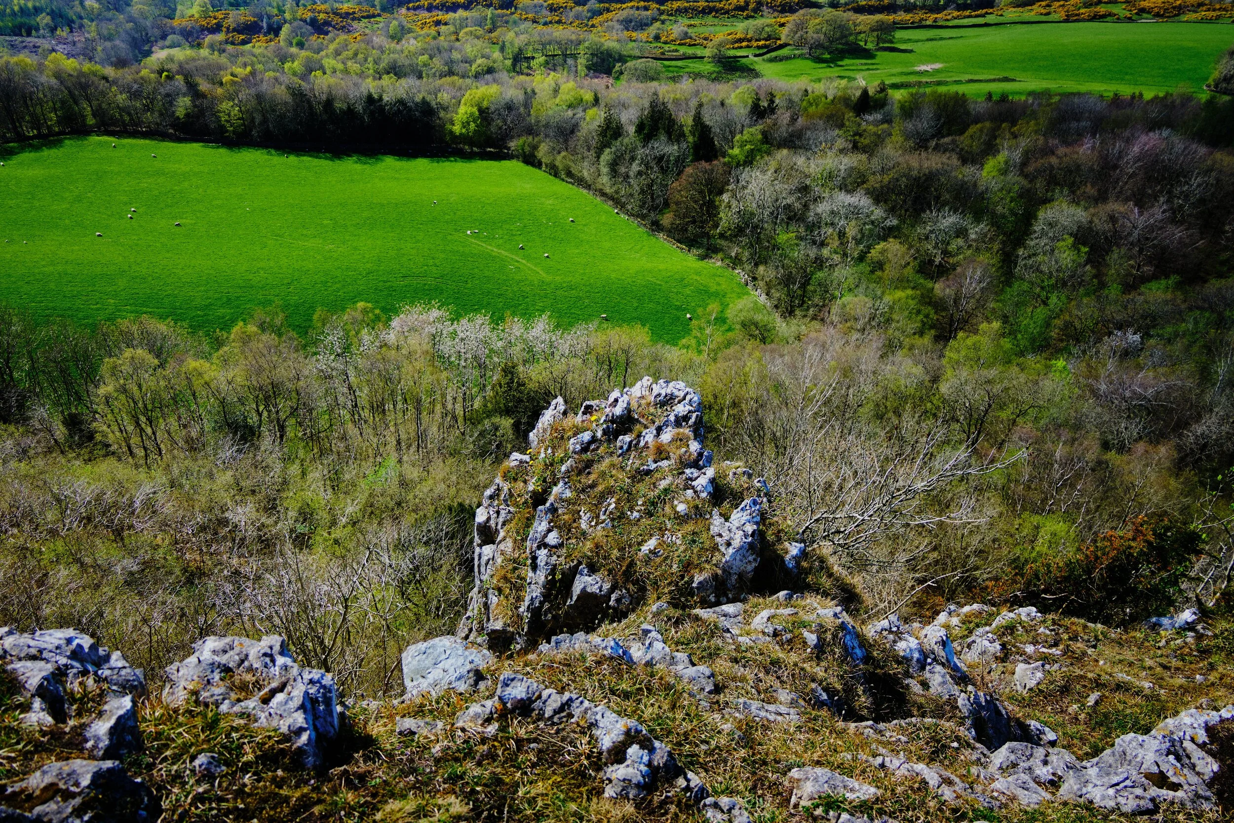  Standing right on the edge of Scout Scar&rsquo;s limestone cliff, looking down the sheer drop to the Lyth Valley below. 