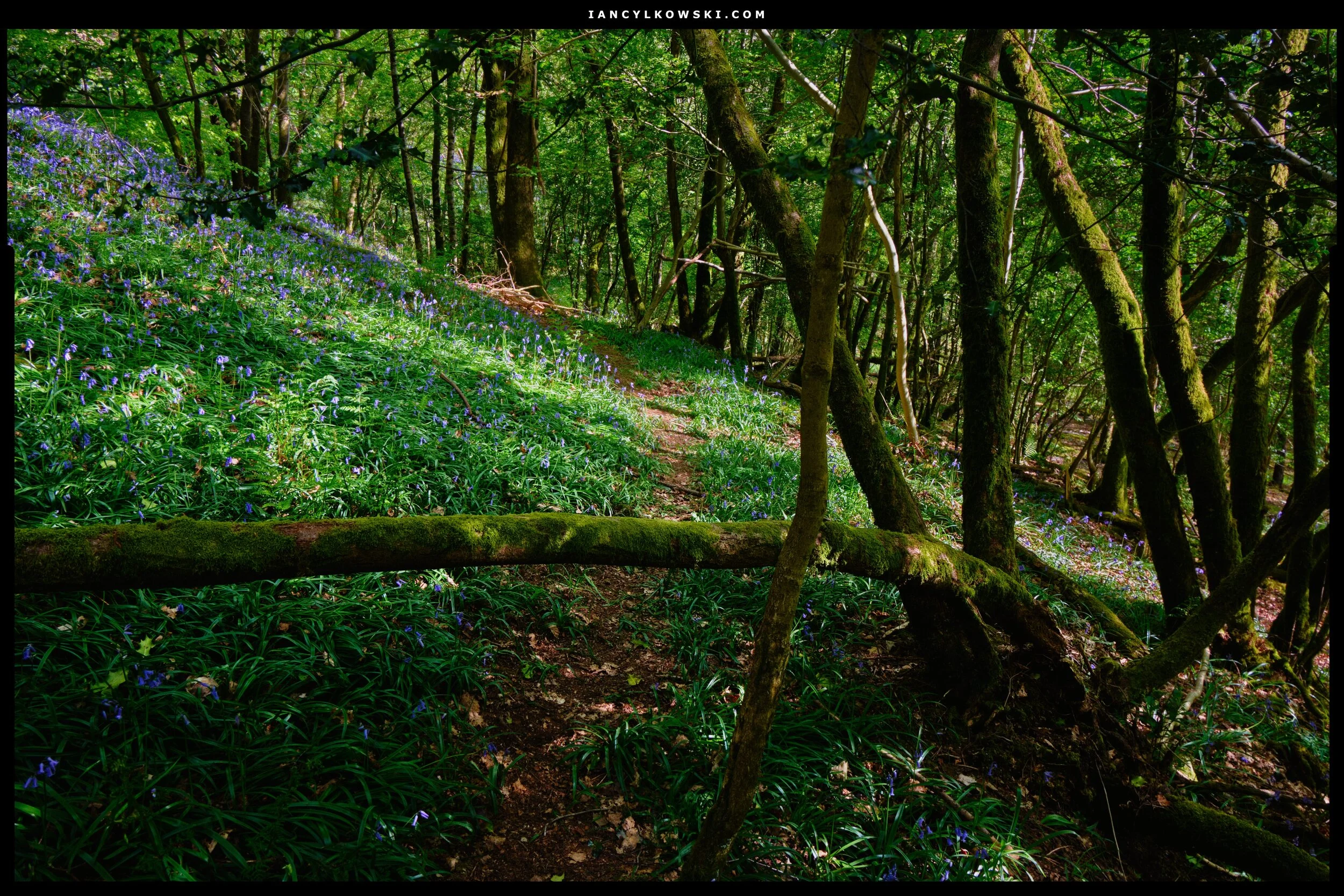 Dscf1051_Export Frame