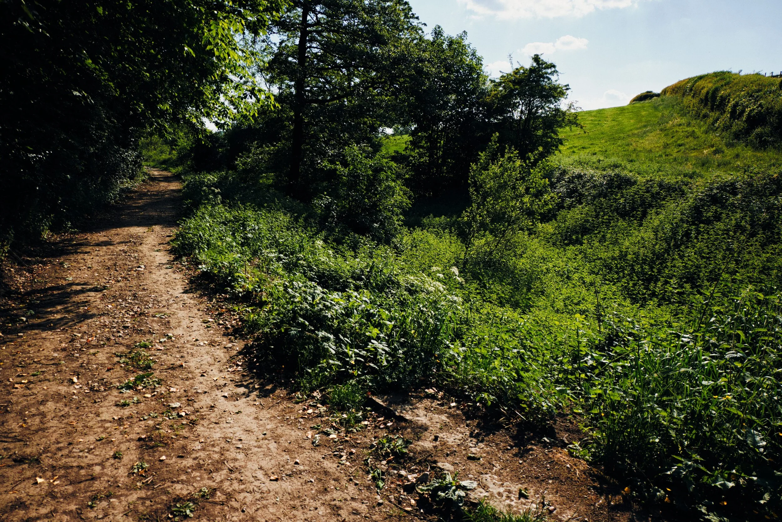  After Sellet Hall Bridge (Nº 173) the newly restored Lancaster Canal ends once again, totally dried up and reclaimed by nature. 