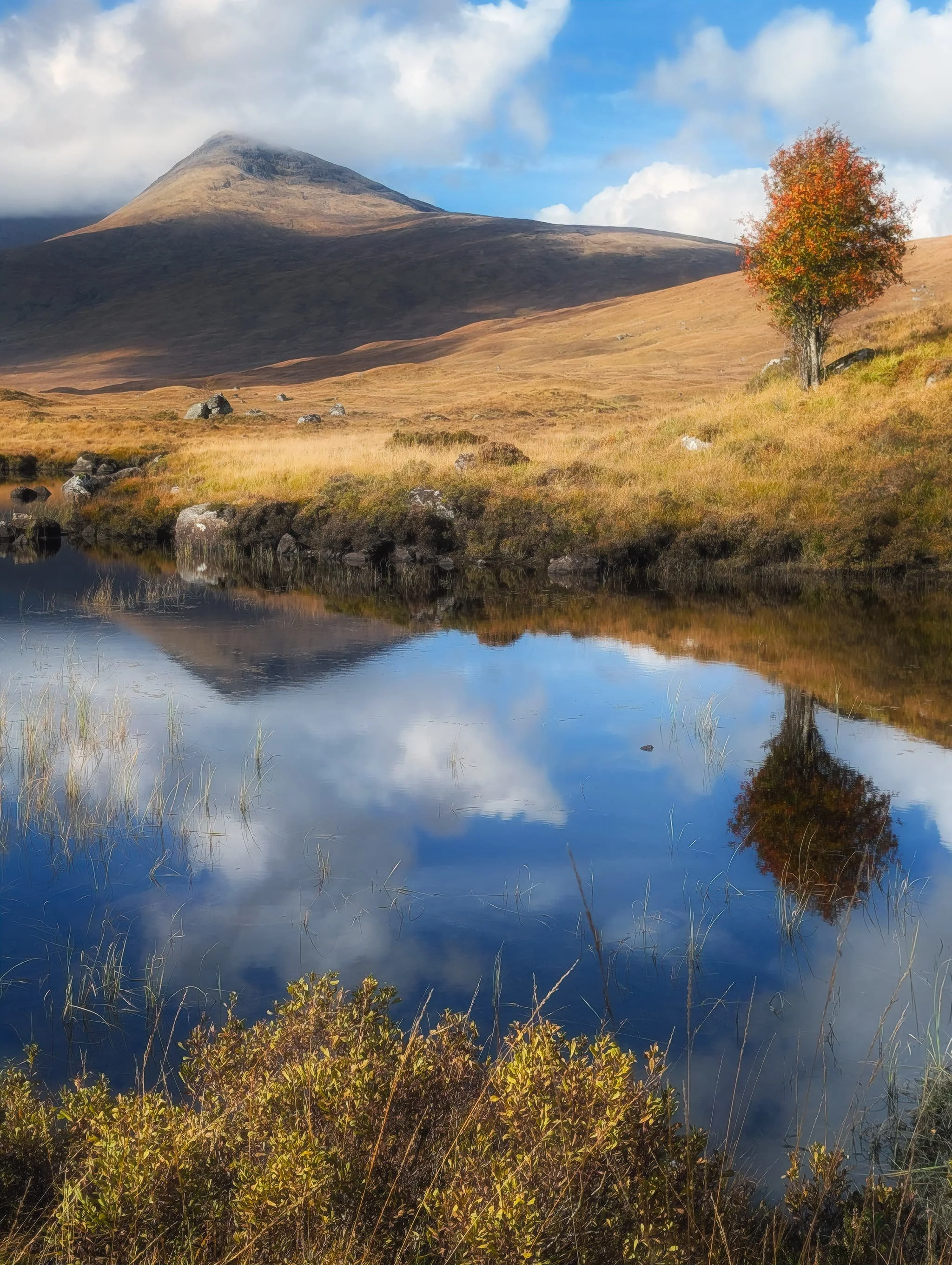 On the other side of the road from Loch Bà is another, smaller, loch system: Loch na Stainge . We followed the vague trail/desire line around the loch shore, seeking compositions. I managed to nab this one of a solitary rowan tree with Meall a’ Bhùiridh (1,108 m/3,635 ft) in the distance, both reflected in the loch.