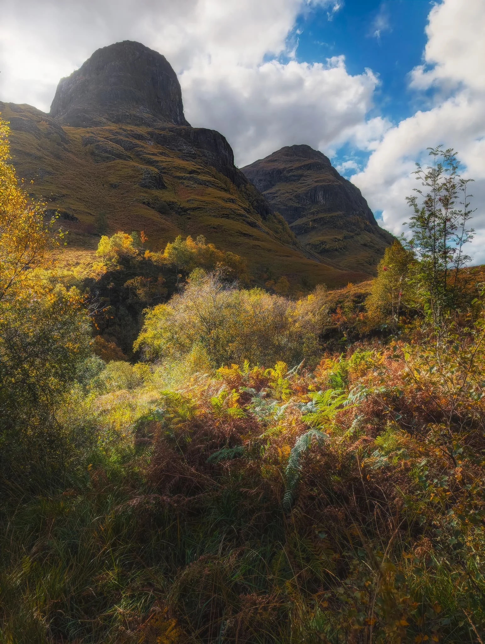 Further down the valley two of the three sisters punch the sky like knuckly fists, looming above the autumnal ferns. On the left is Geàrr Aonach (692 m/2,270 ft) and on the right is Aonach Dubh (892 m/2,926 ft).