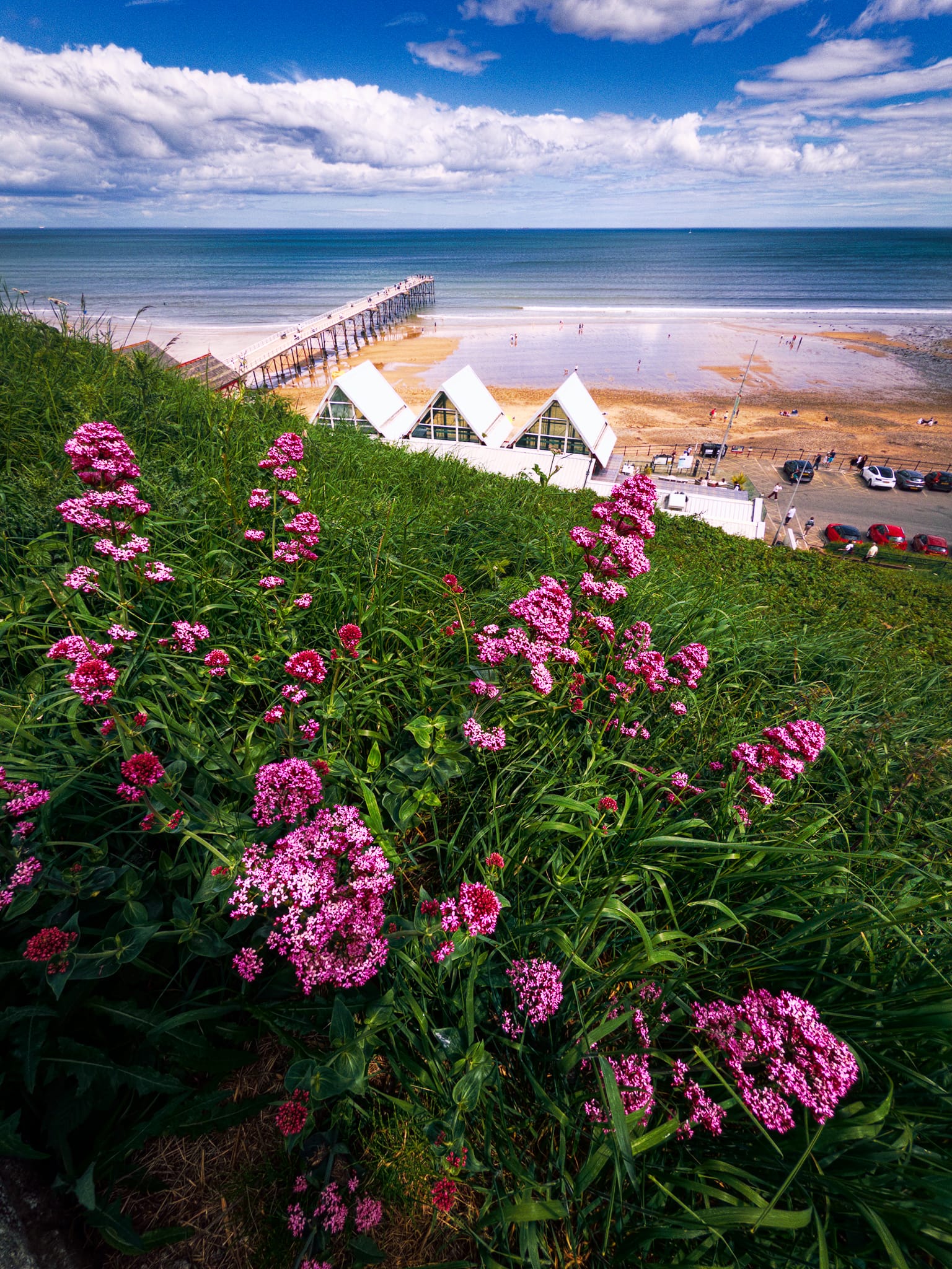 Our first instinct was to take the steps up the cliff into the town proper, see what views we could enjoy. Along the way, these beautiful Red Valerian (Centranthus ruber) provided a lovely foreground interest for this composition looking down at Saltburn&rsquo;s beach and its pier.
