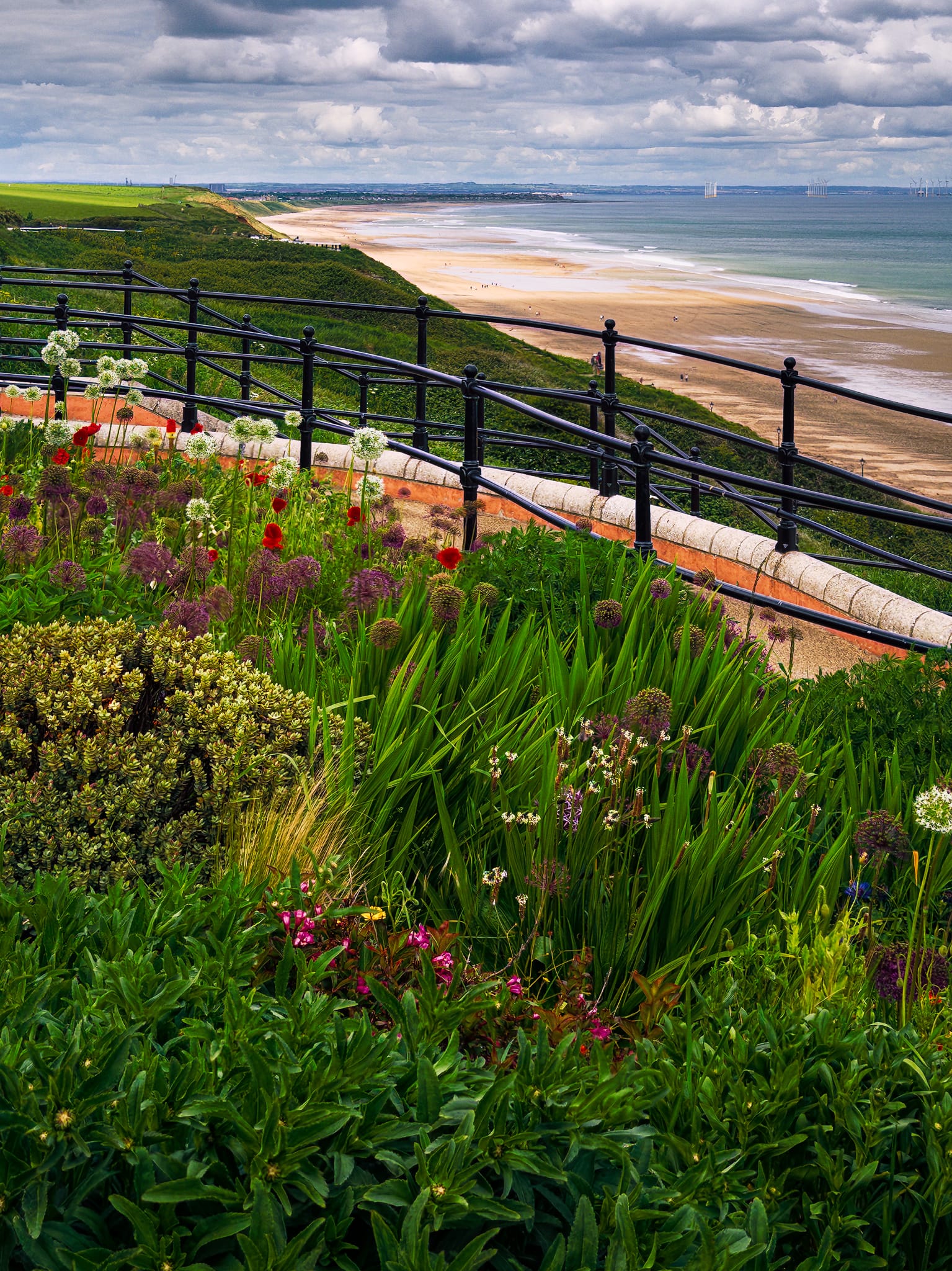 Along the promenade, visitors can enjoy the Saltburn Fossil Garden, established in 2018 for the enjoyment of all.