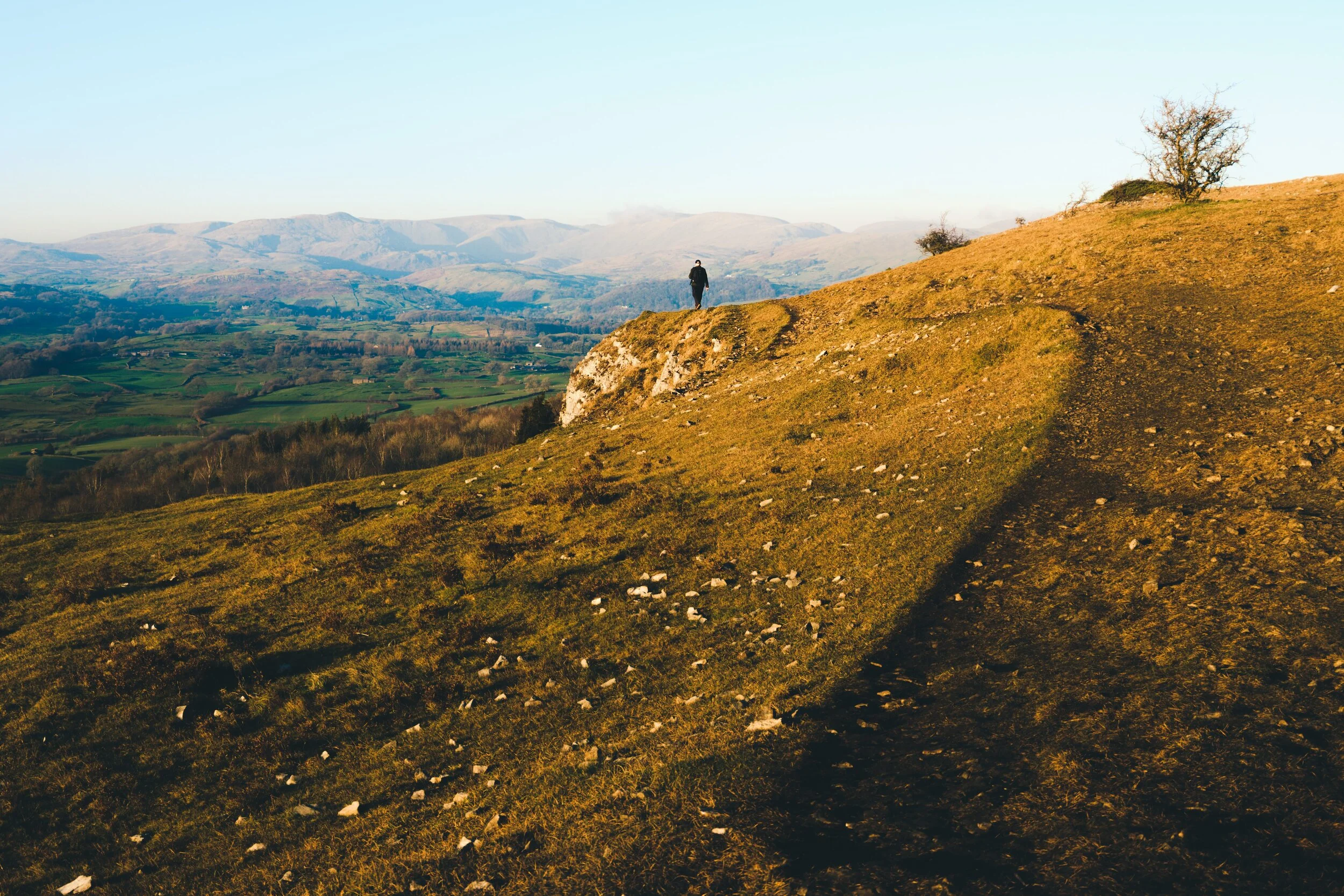 Newyear_Scoutscar 02