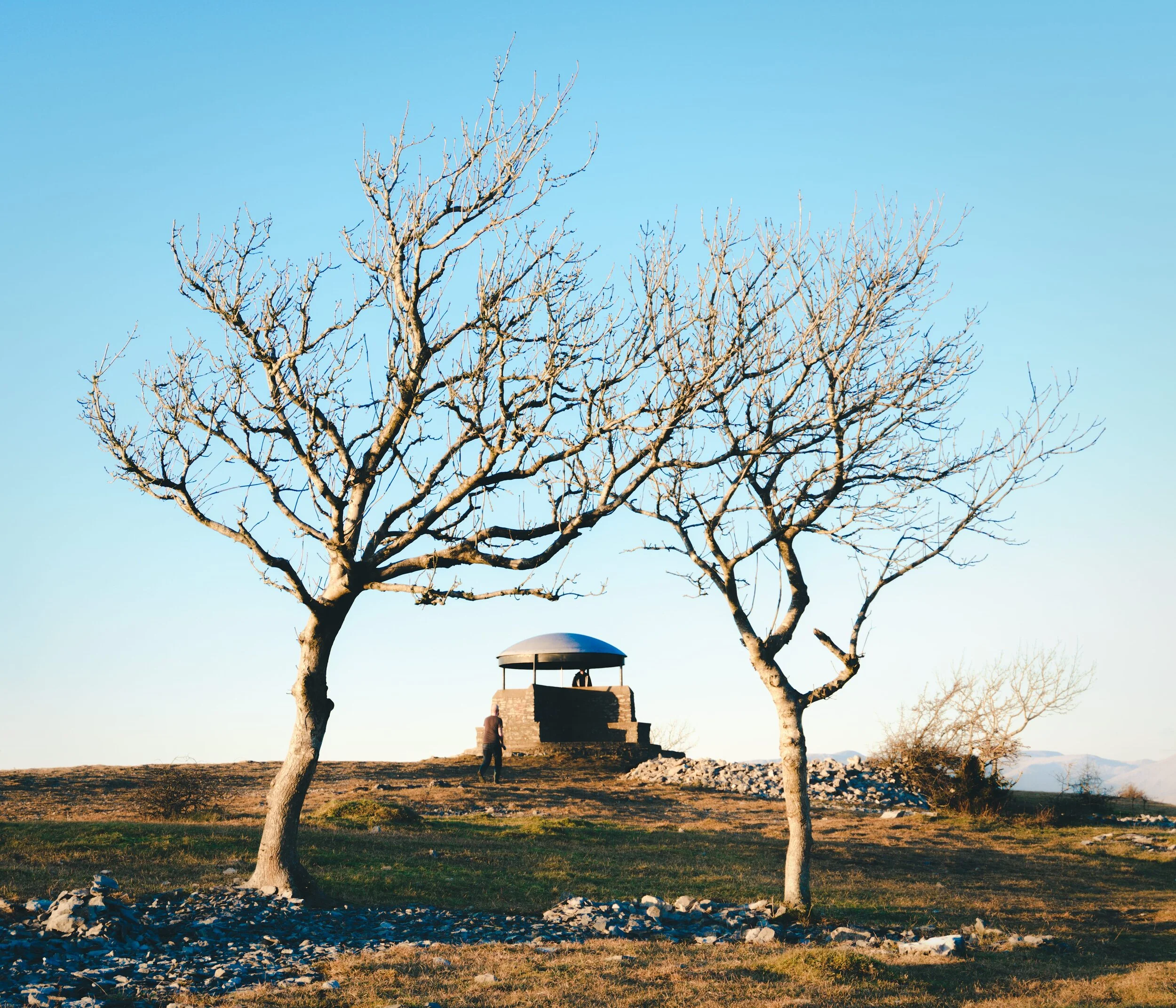 Newyear_Scoutscar 03