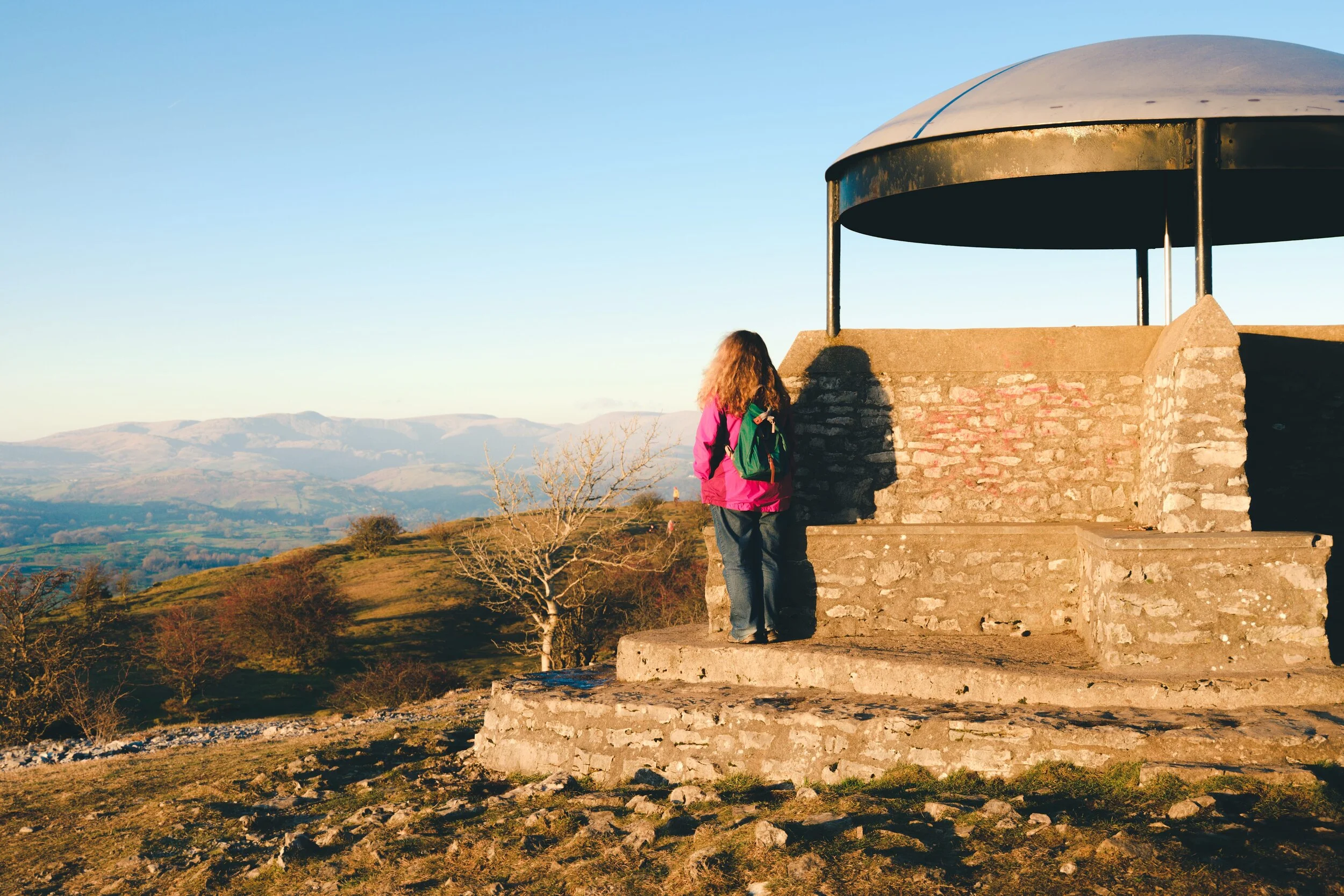 Newyear_Scoutscar 04