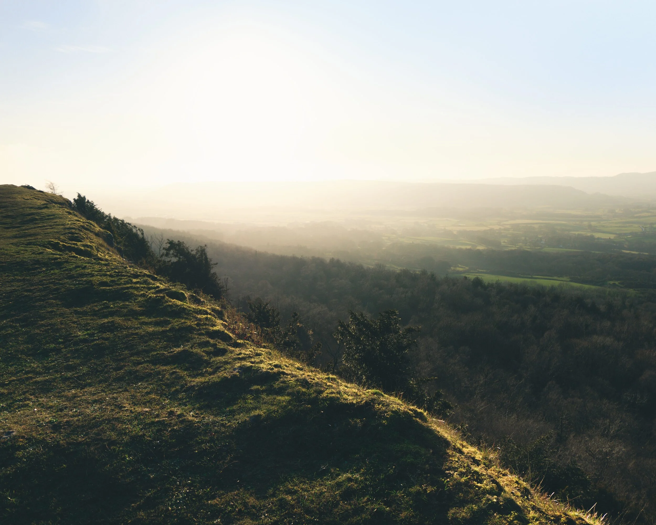 Newyear_Scoutscar 05